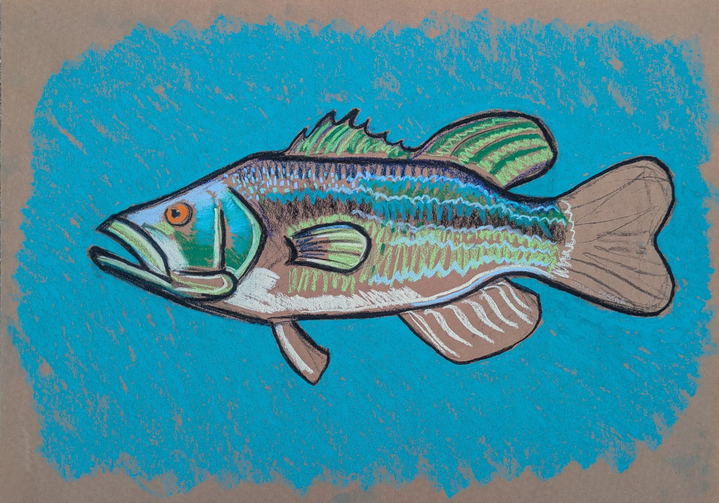 Colorful drawing of a fish with green, blue, and brown markings, swimming against a blue background.