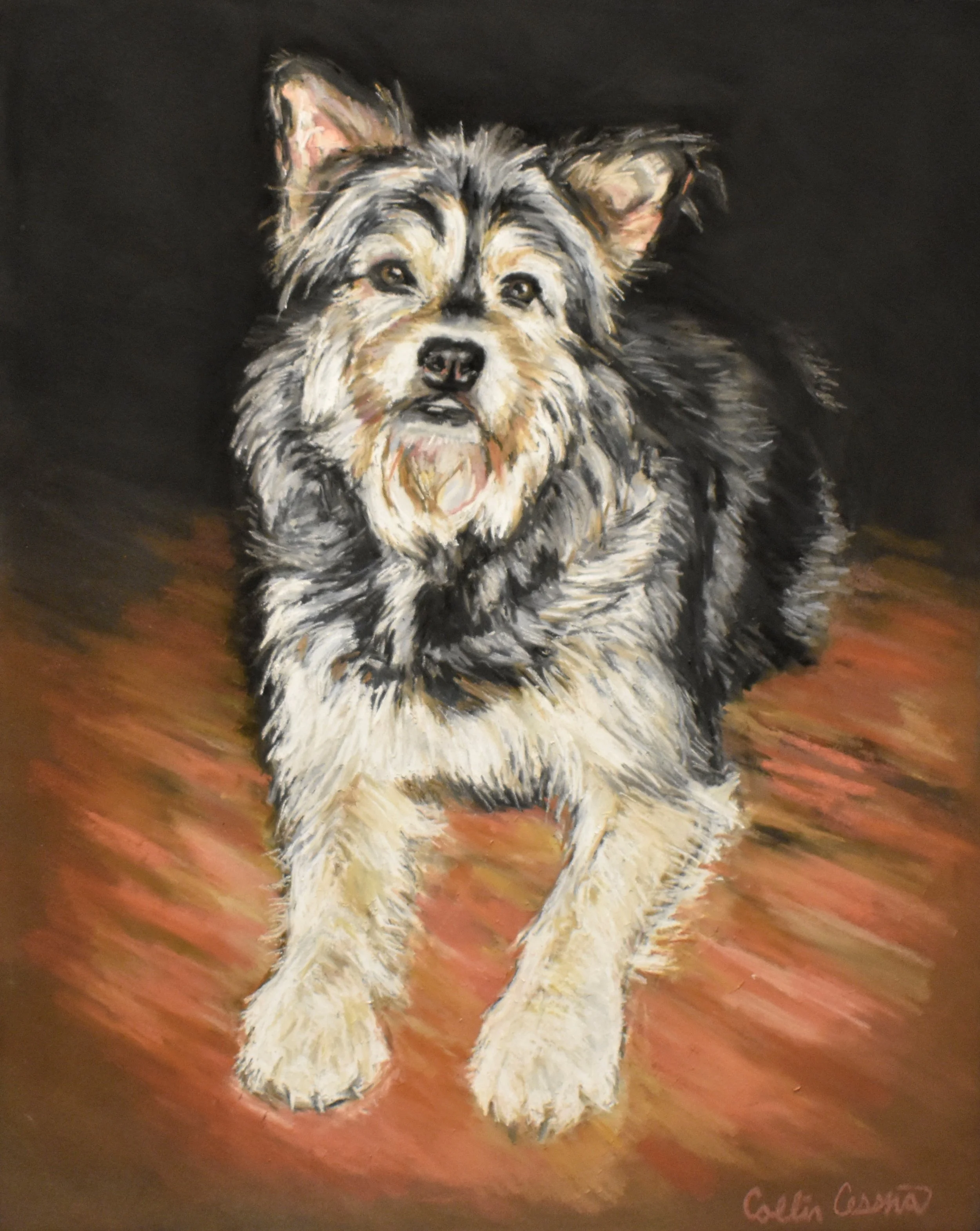 Painting of a fluffy dog with a black, gray, and cream coat, sitting on a reddish-brown floor against a dark background.