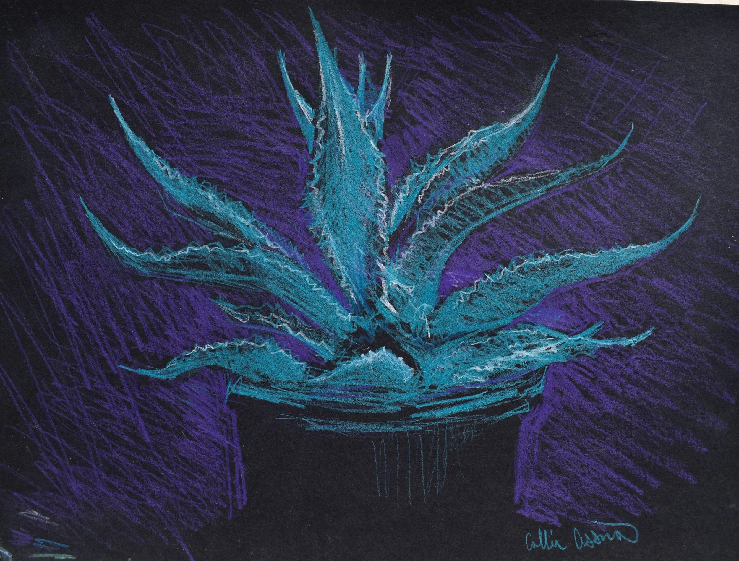 A vibrant illustration of a blue agave plant, with spiky leaves, set against a dark purple background with textured shading.