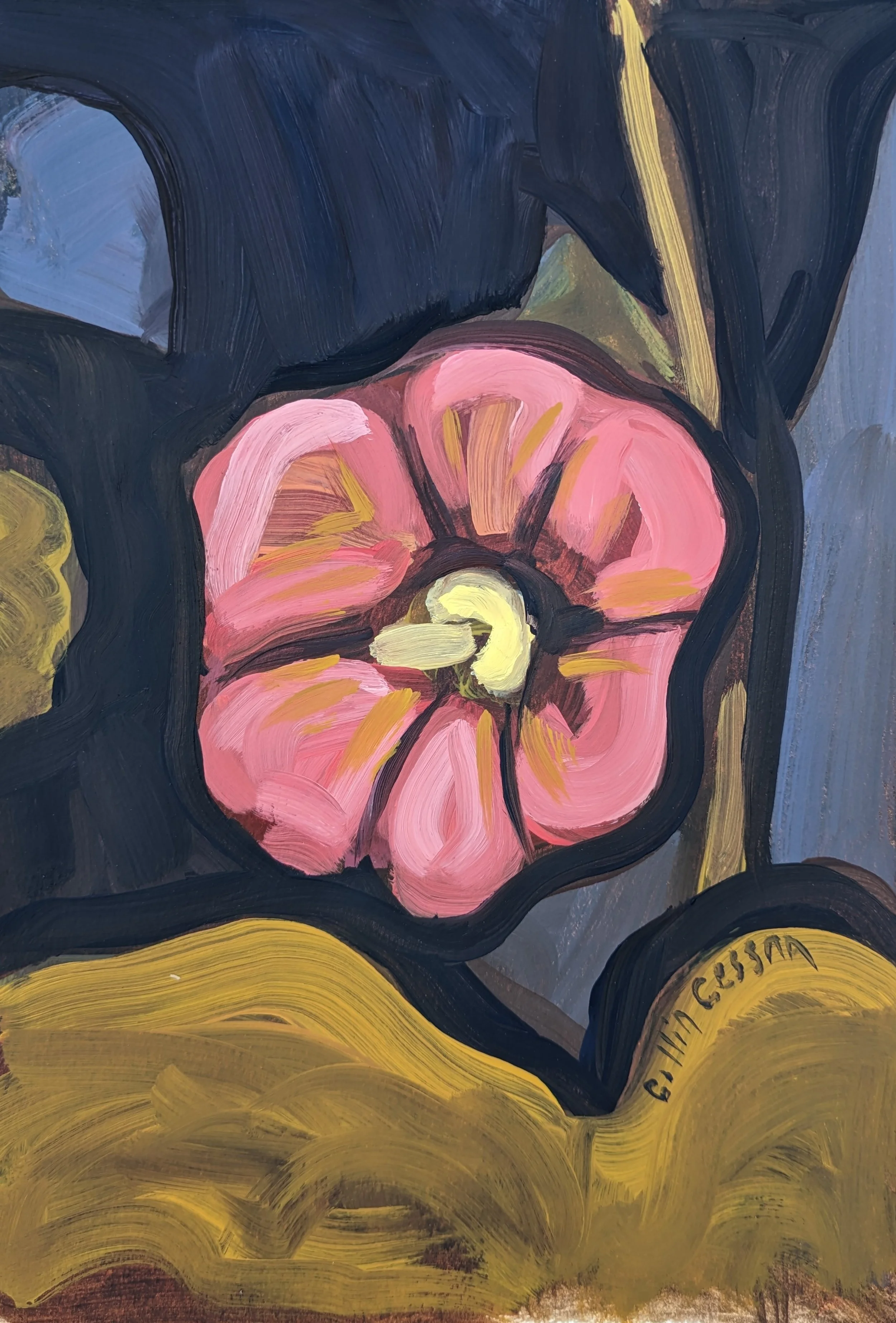 Blooming Hollyhock.jpg