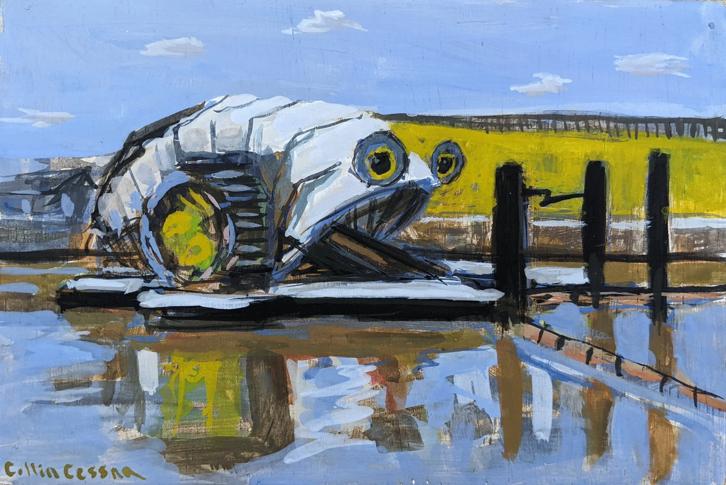 Mr. Trash Wheel fine art print by Collin Cessna UBalt alumni Maryland MD Baltimore Bmore