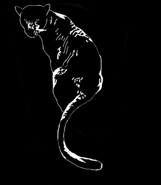 Flush Panther Sticker.jpg