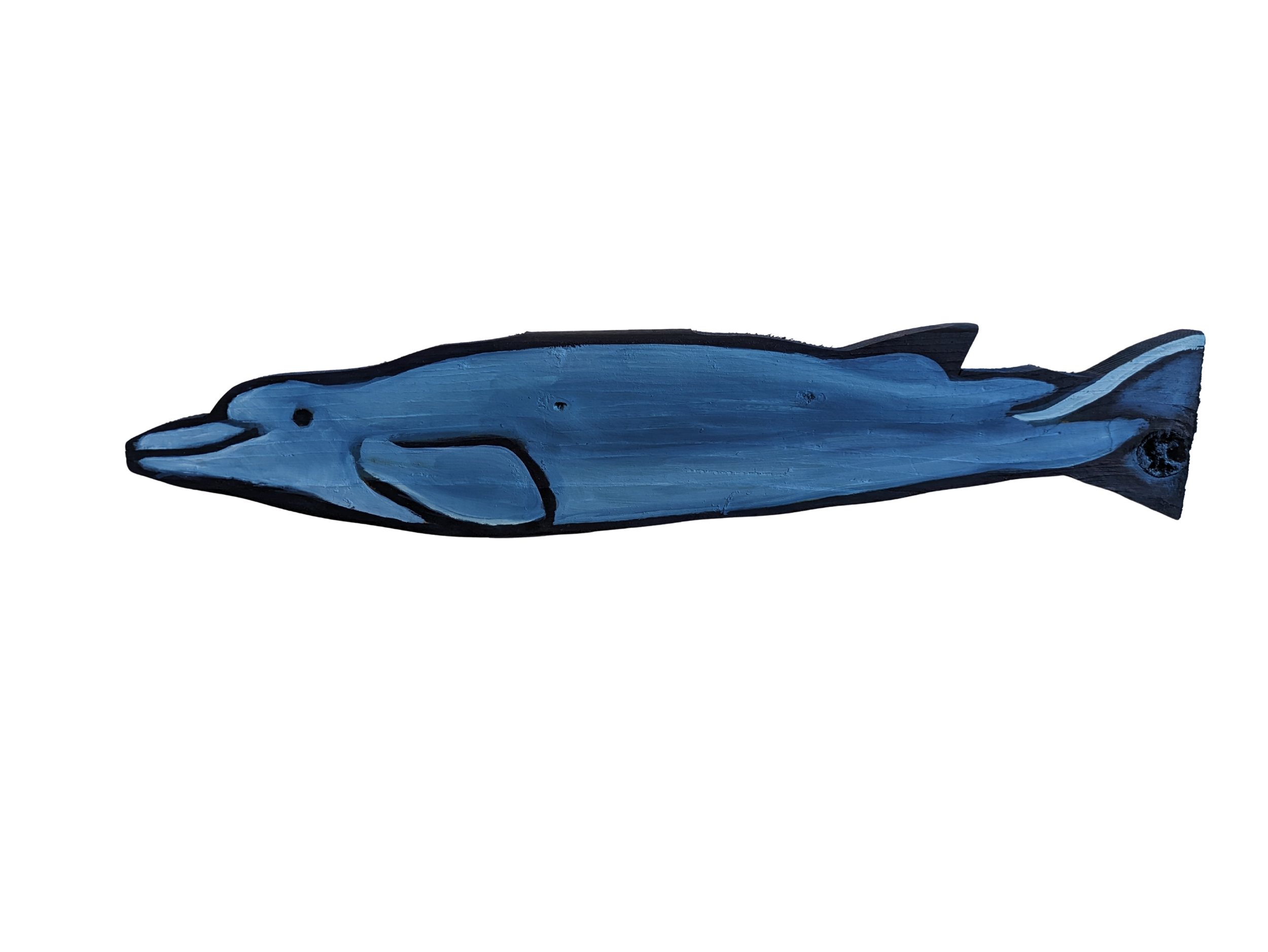 Bairds Beaked Whale