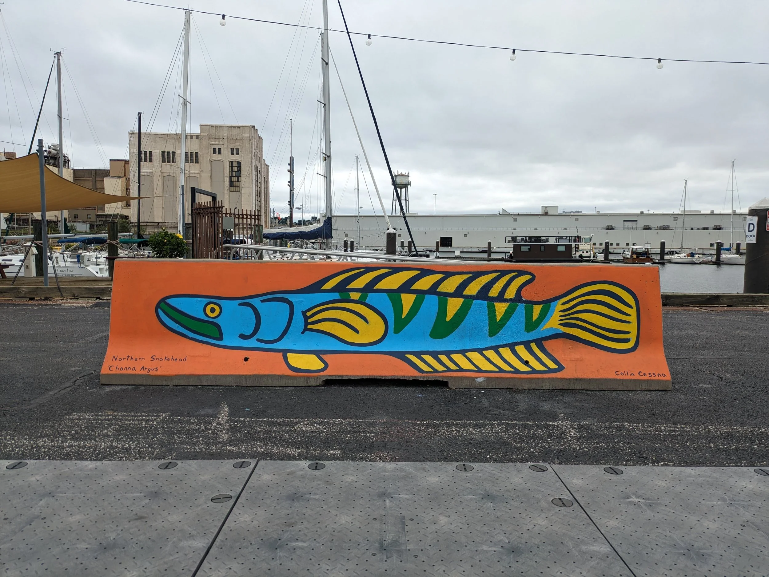 "Snakehead Mural" at Port Covington Marina