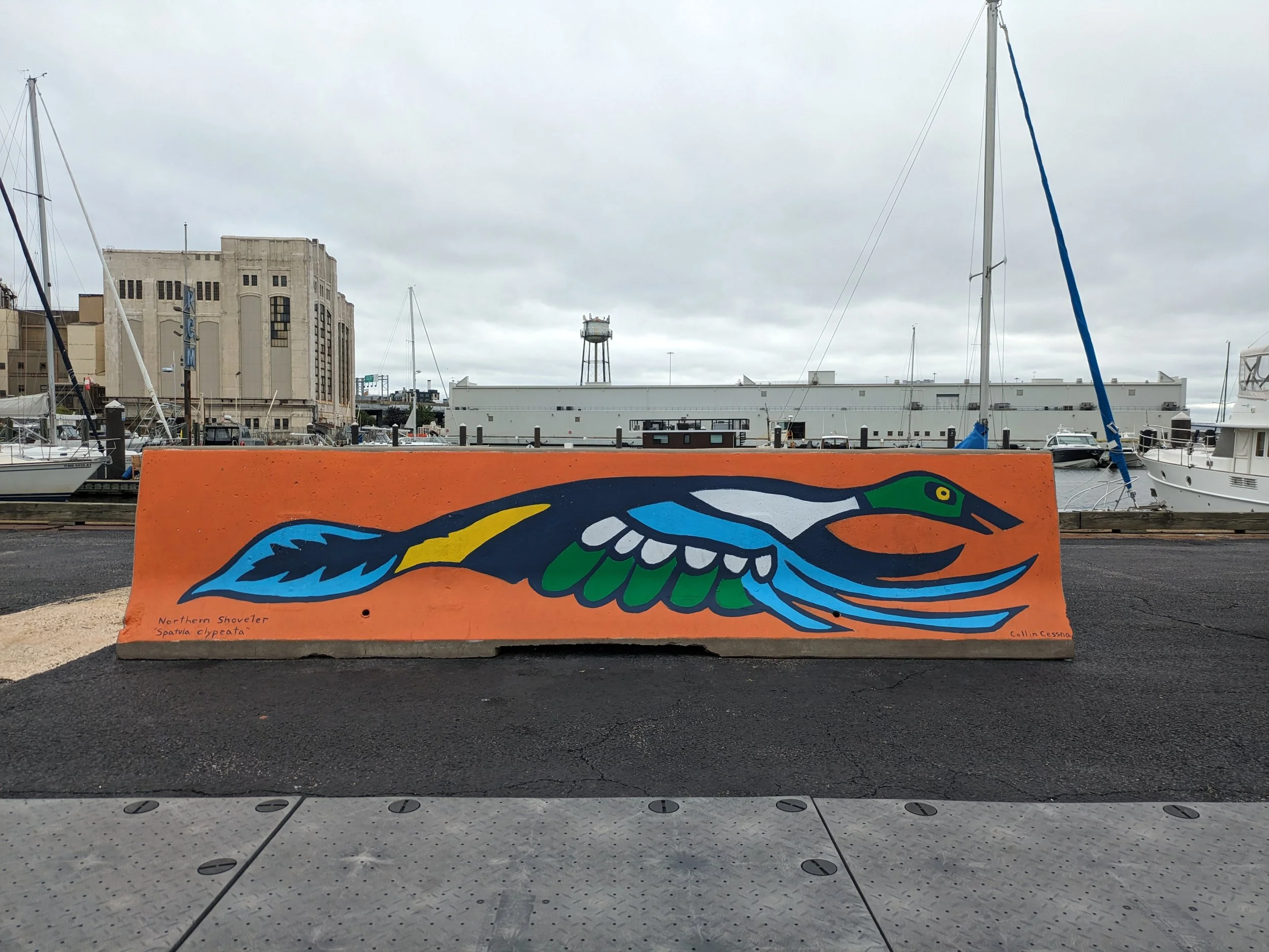 "Northern Shoveler Mural" at Port Covington Marina, 2025