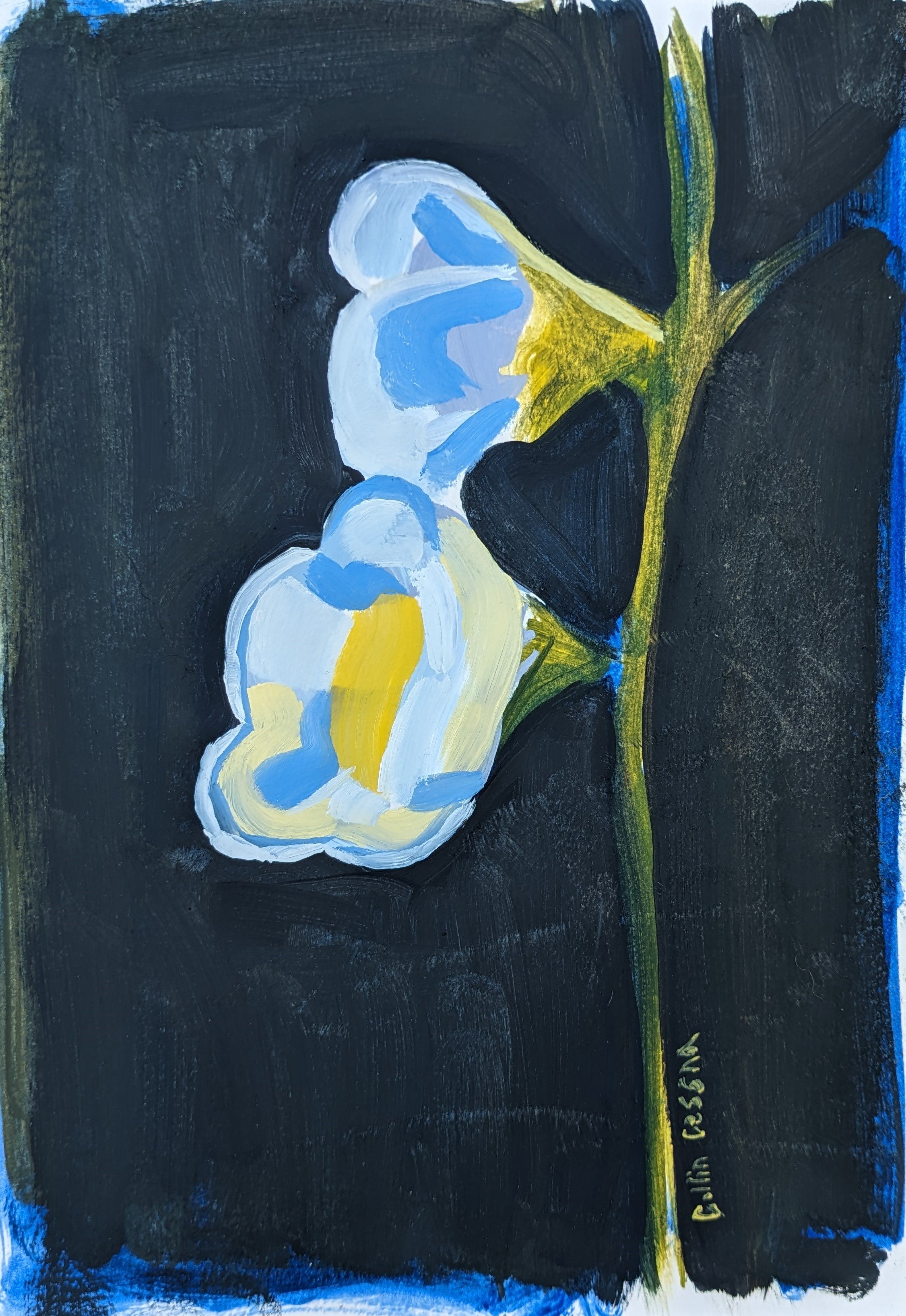 Artist Collin Cessna paints blooming blue holly hocks Parkville Maryland MD flower floral artwork