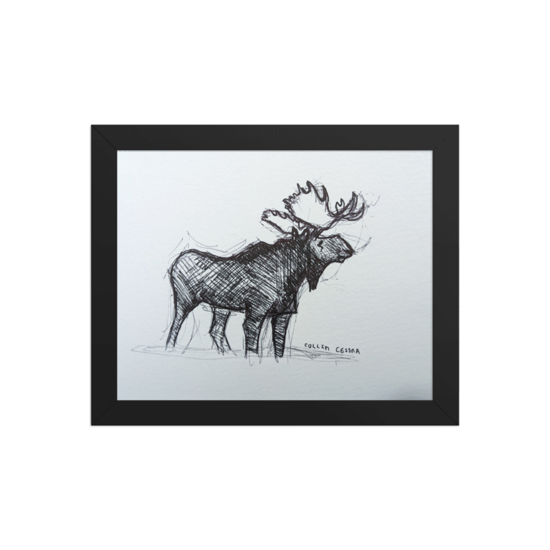 Artist Collin Cessna Draws moose in Yellowstone Wyoming WY National Park Wildlife Art original MD