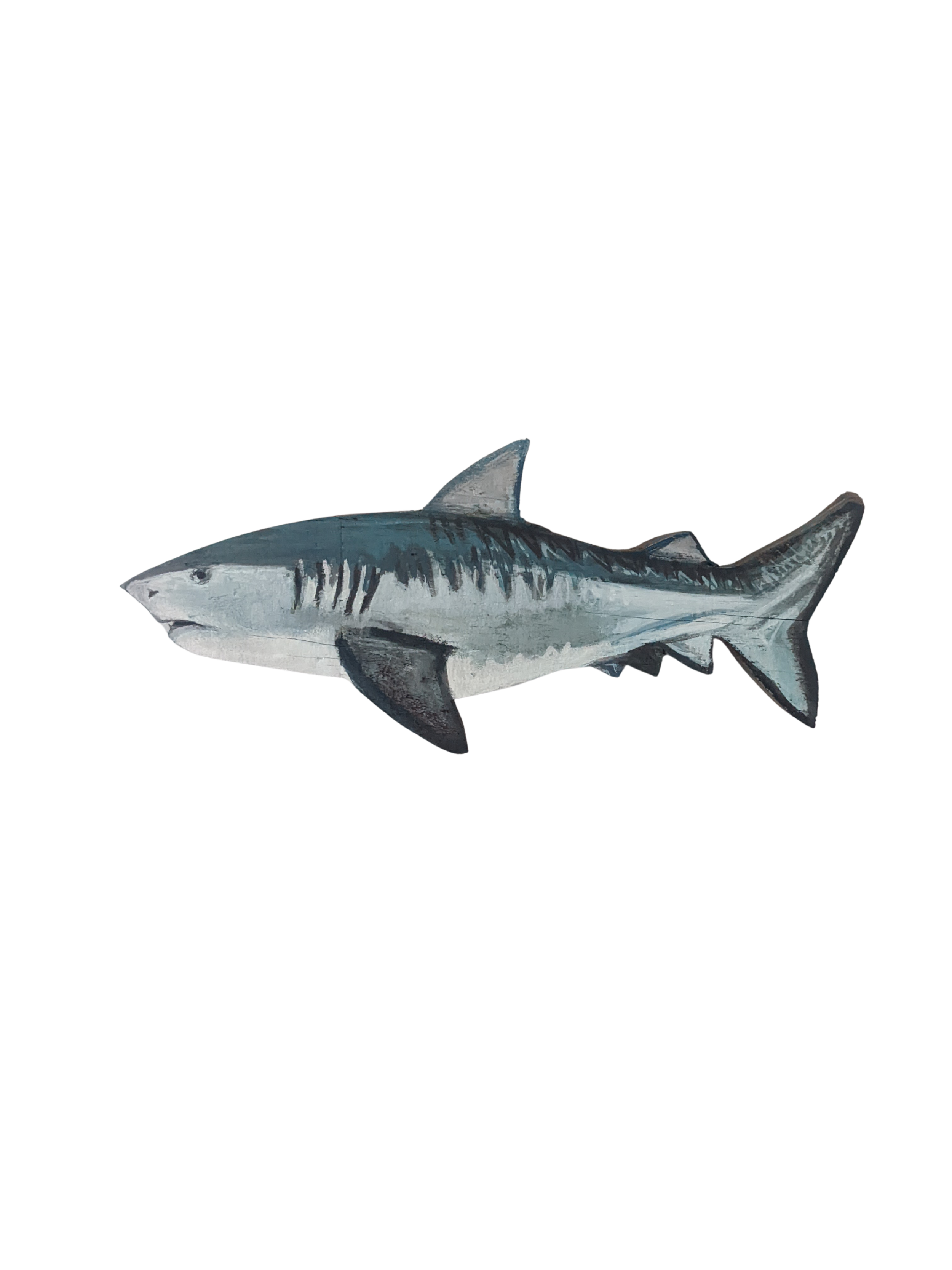 Tiger Shark
