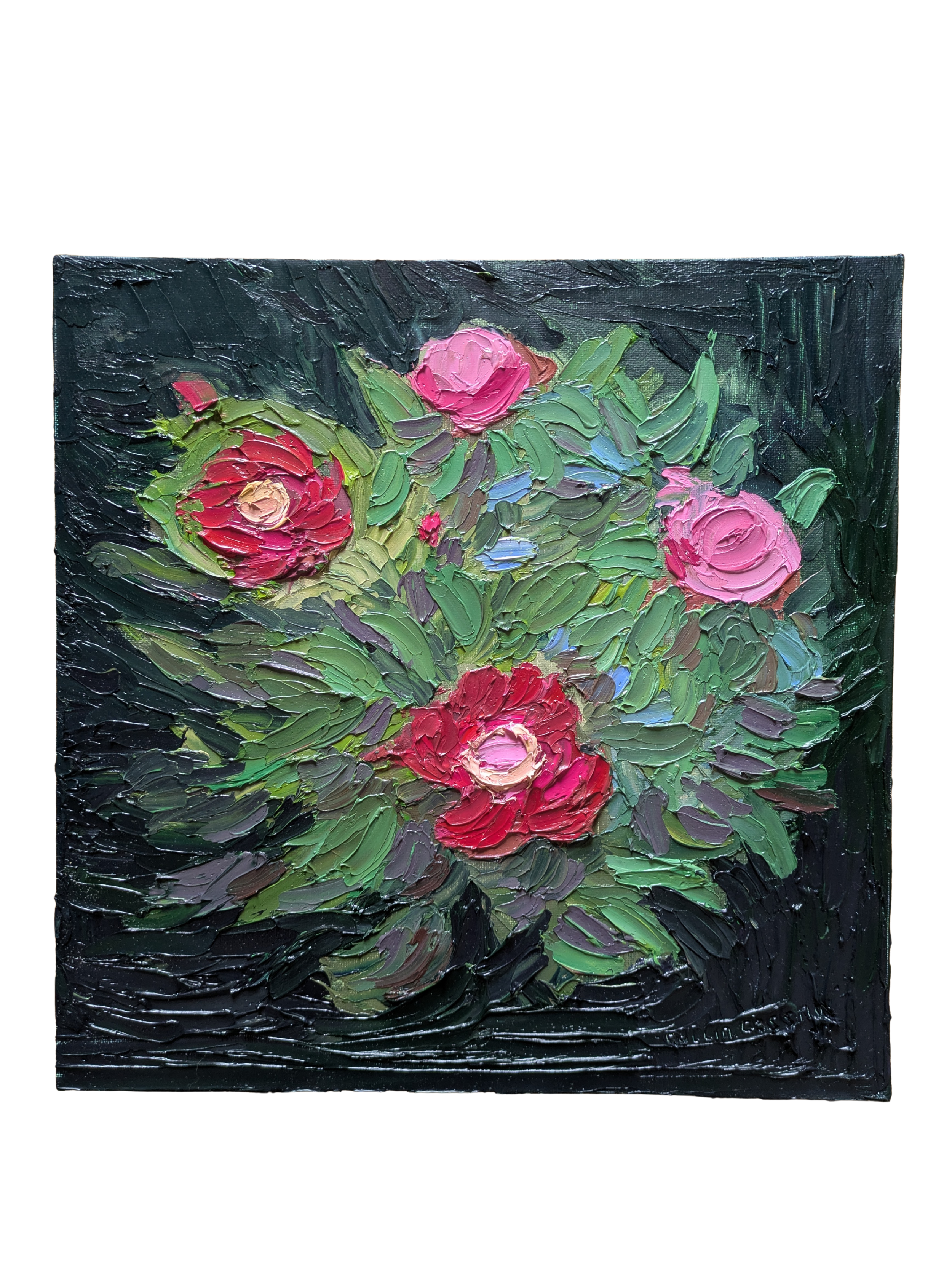 Blooming Peonies