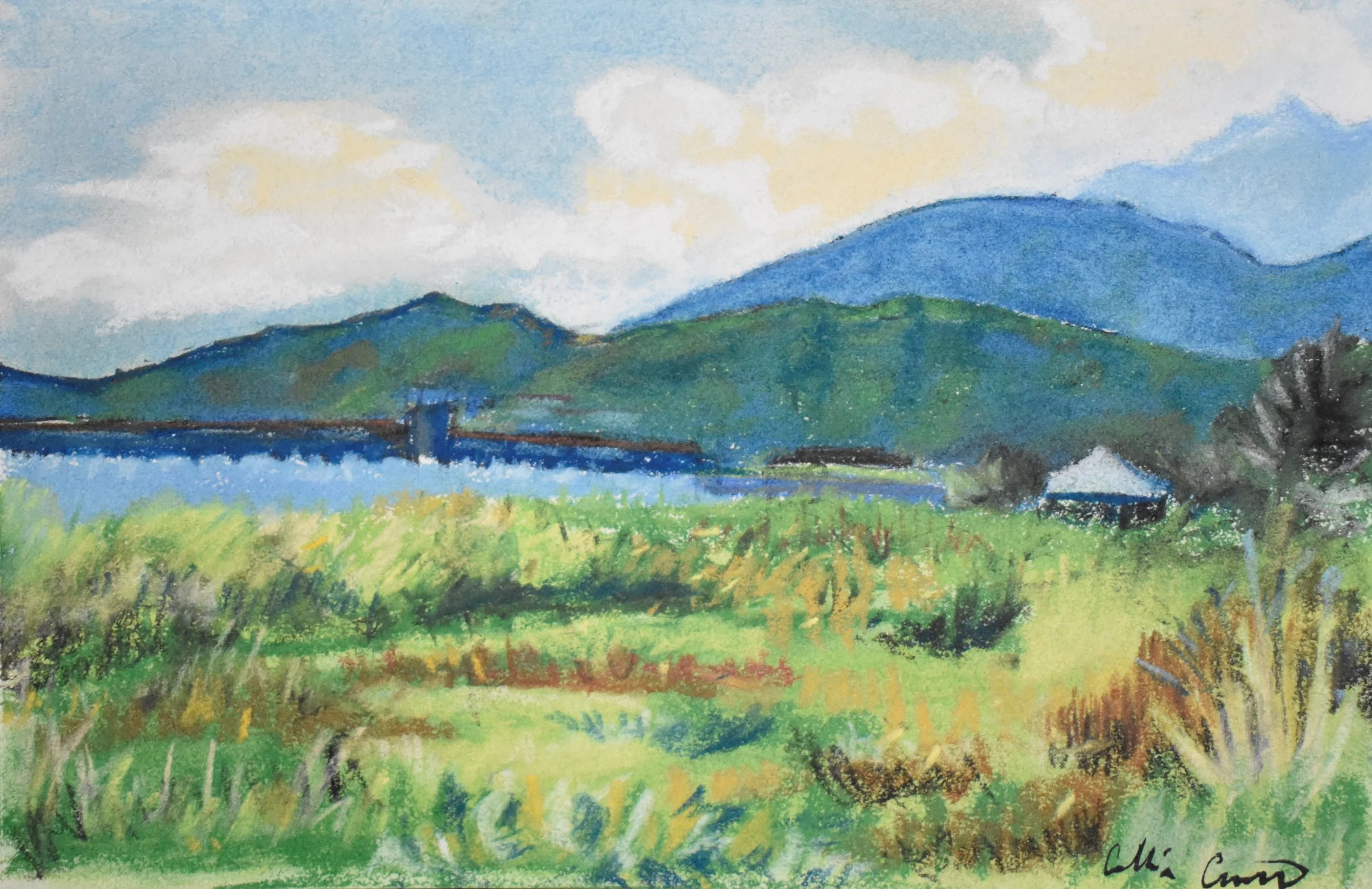 El Yunque Rainforest plein air painting soft pastel drawing painting sketchbook 