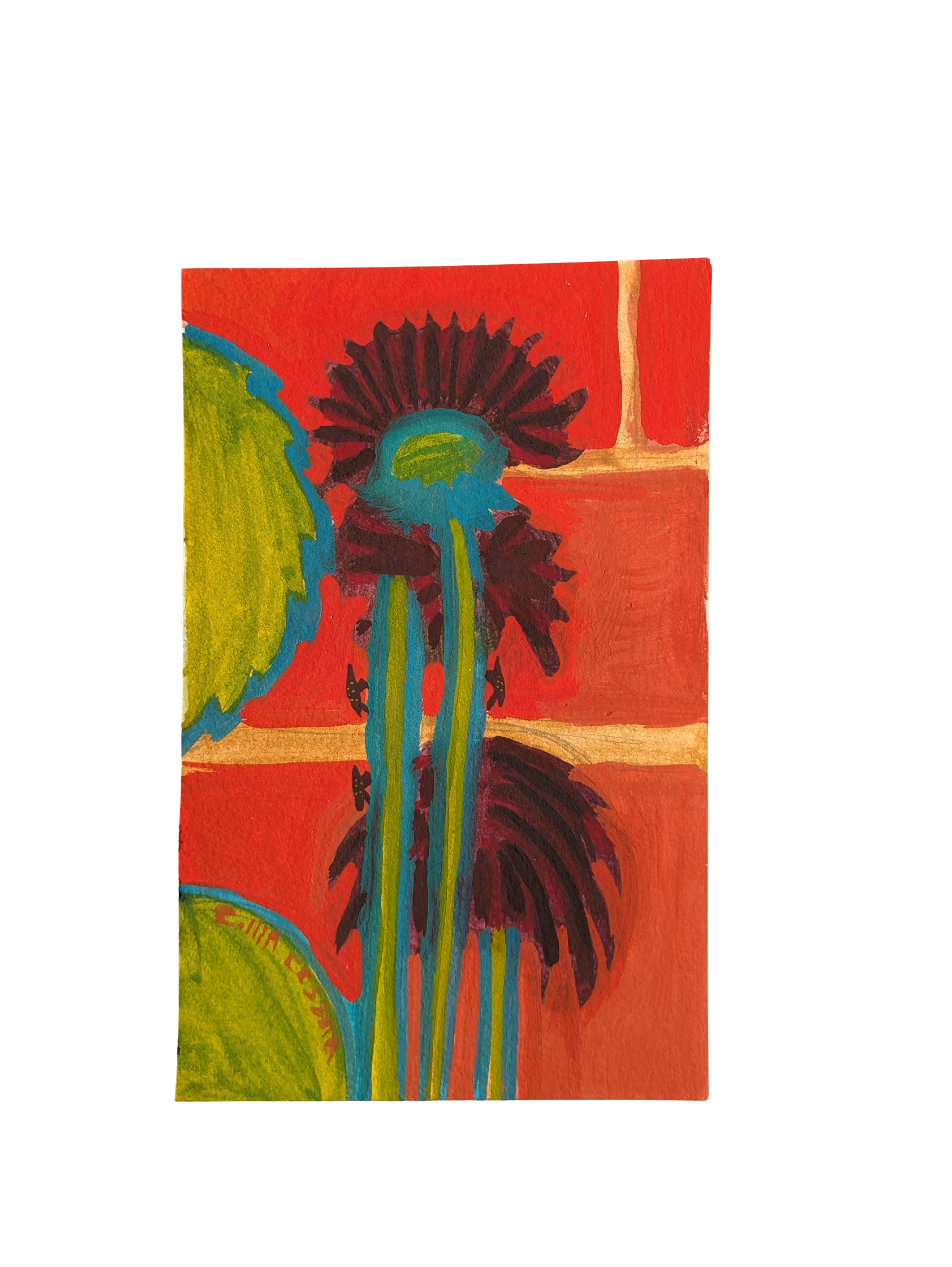 Black Dahlias and Lantern Flies