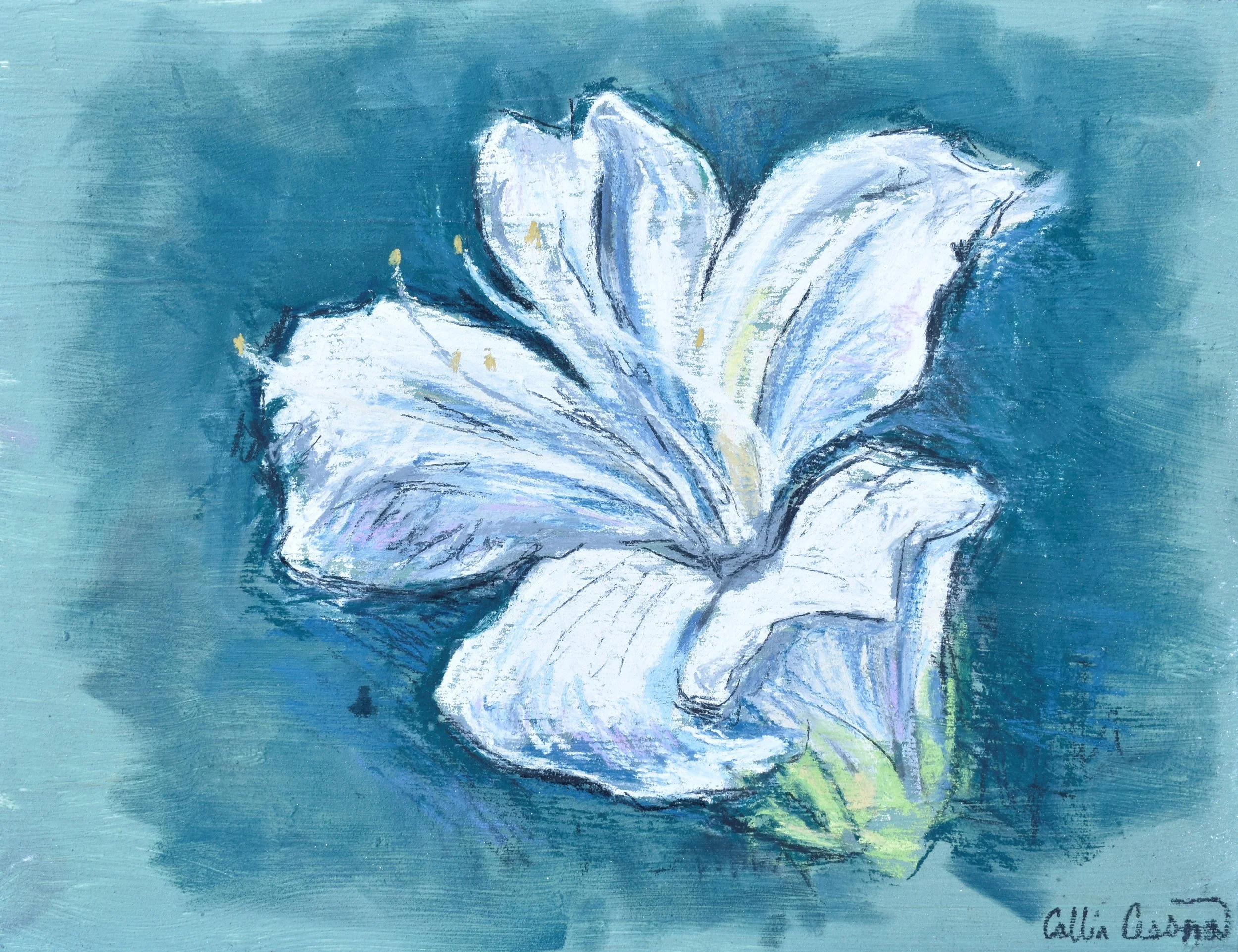 A painting of a white lily flower with a blue background.