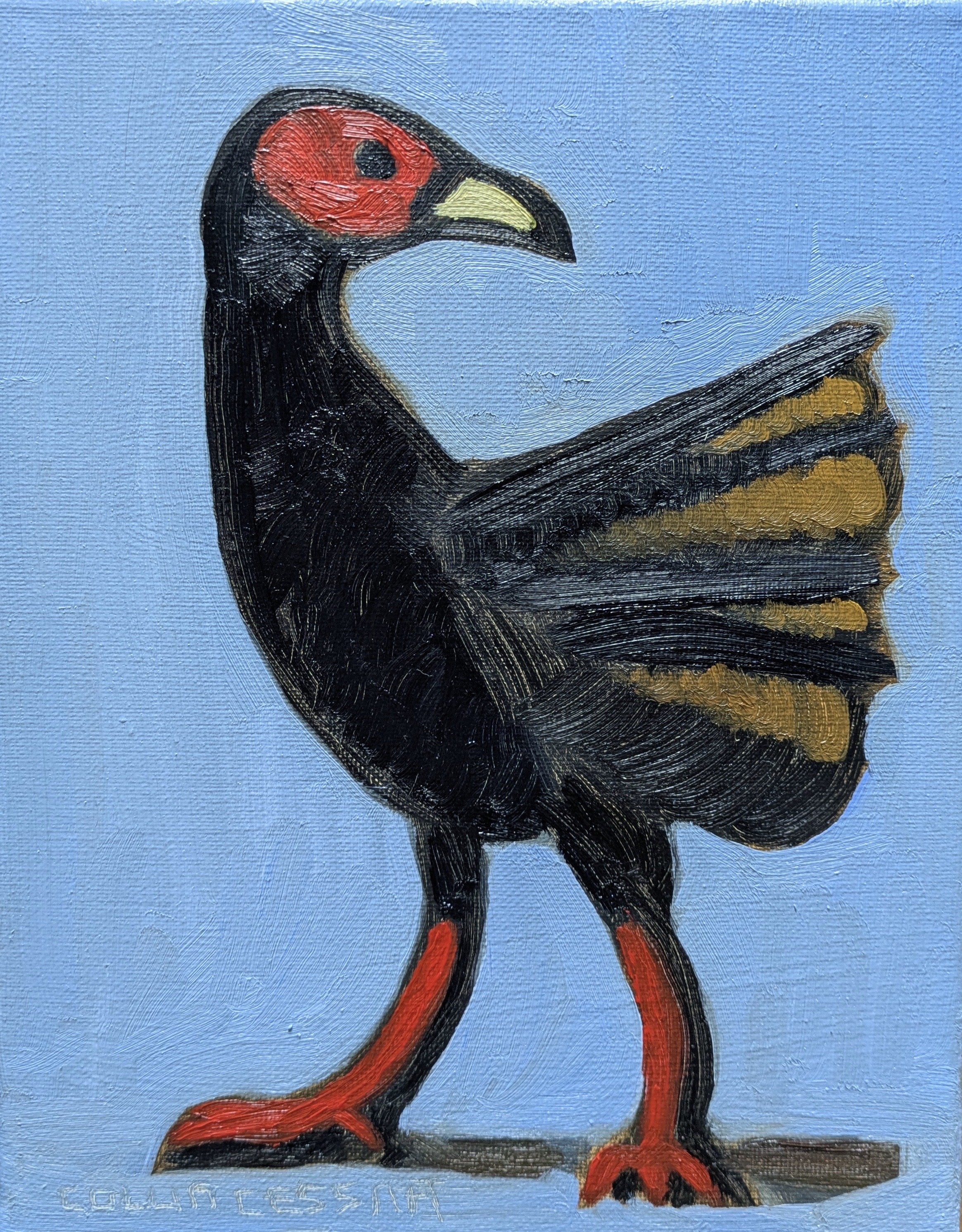 Turkey Vulture