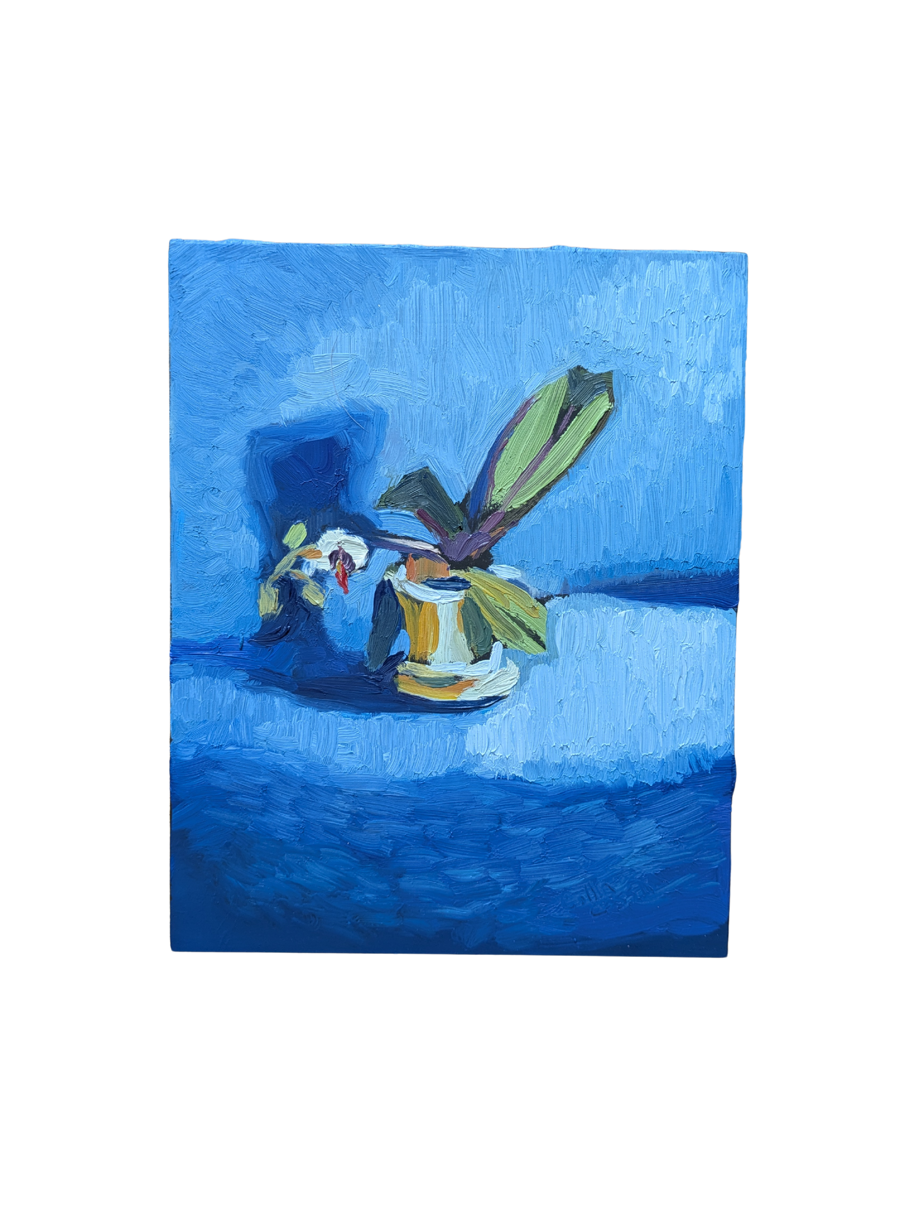 Original oil painting blooming orchid floral painting flower collin cessna ladew still life canvas