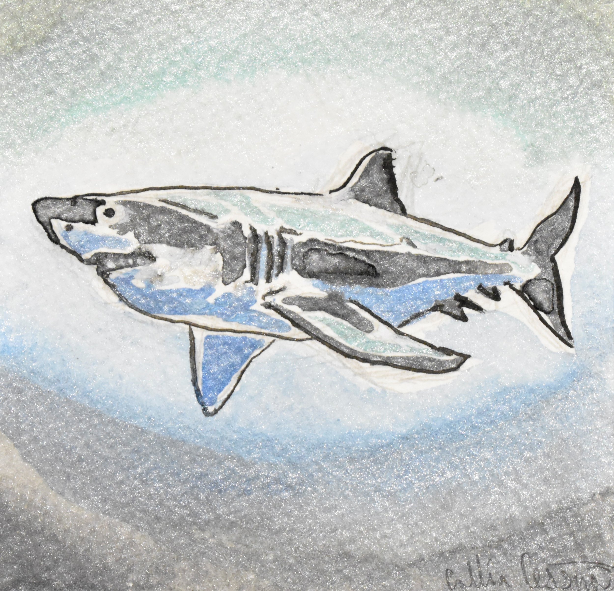 A drawing of a shark with a background shaded in blue and gray tones.