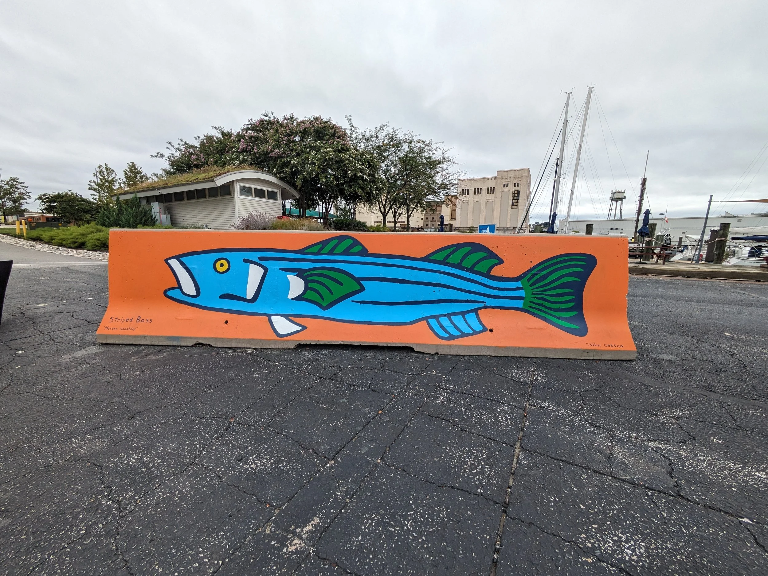 "Rockfish Mural" at Port Covington Marina
