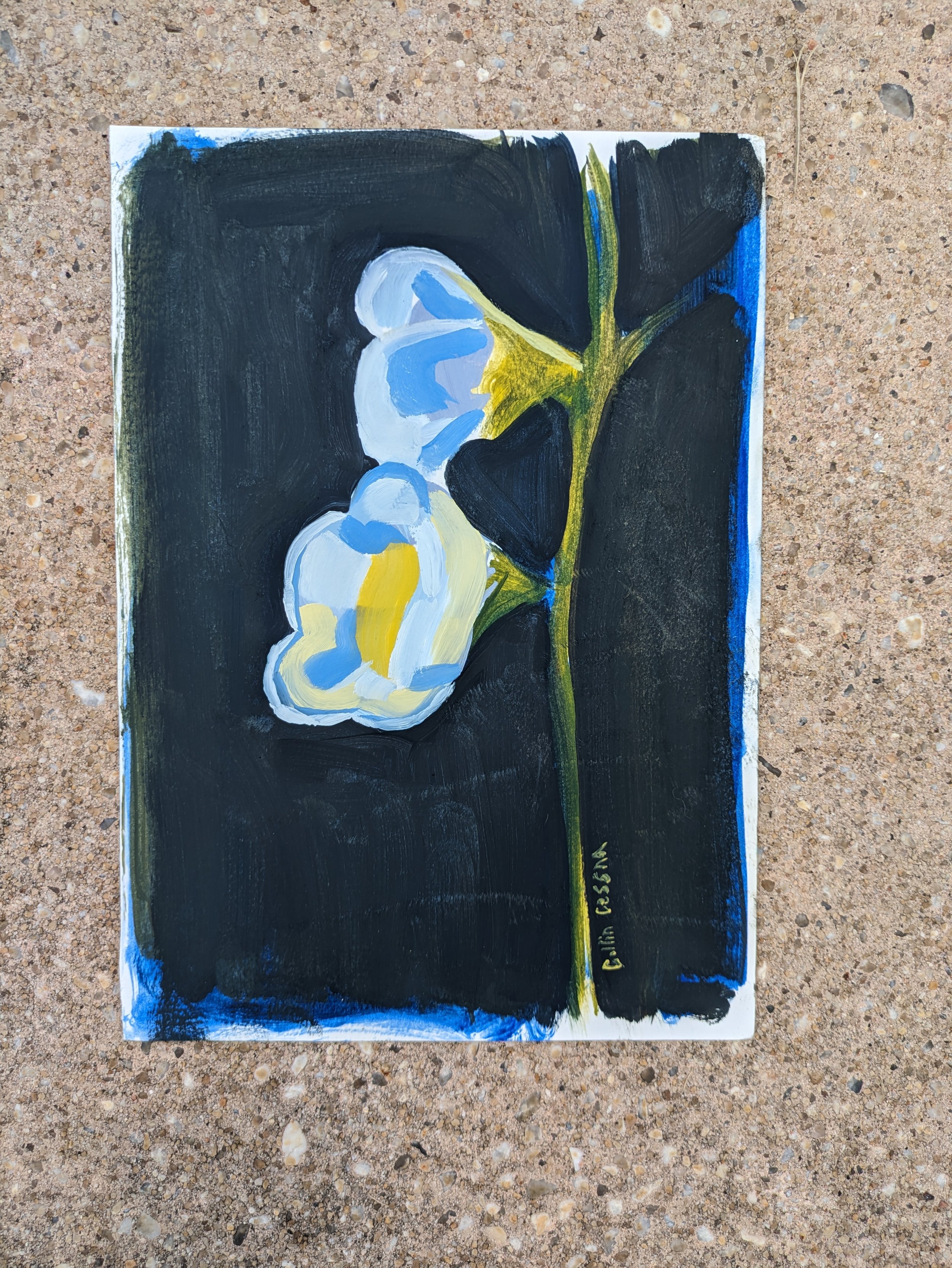 Artist Collin Cessna paints blooming blue holly hocks Parkville Maryland MD flower floral artwork