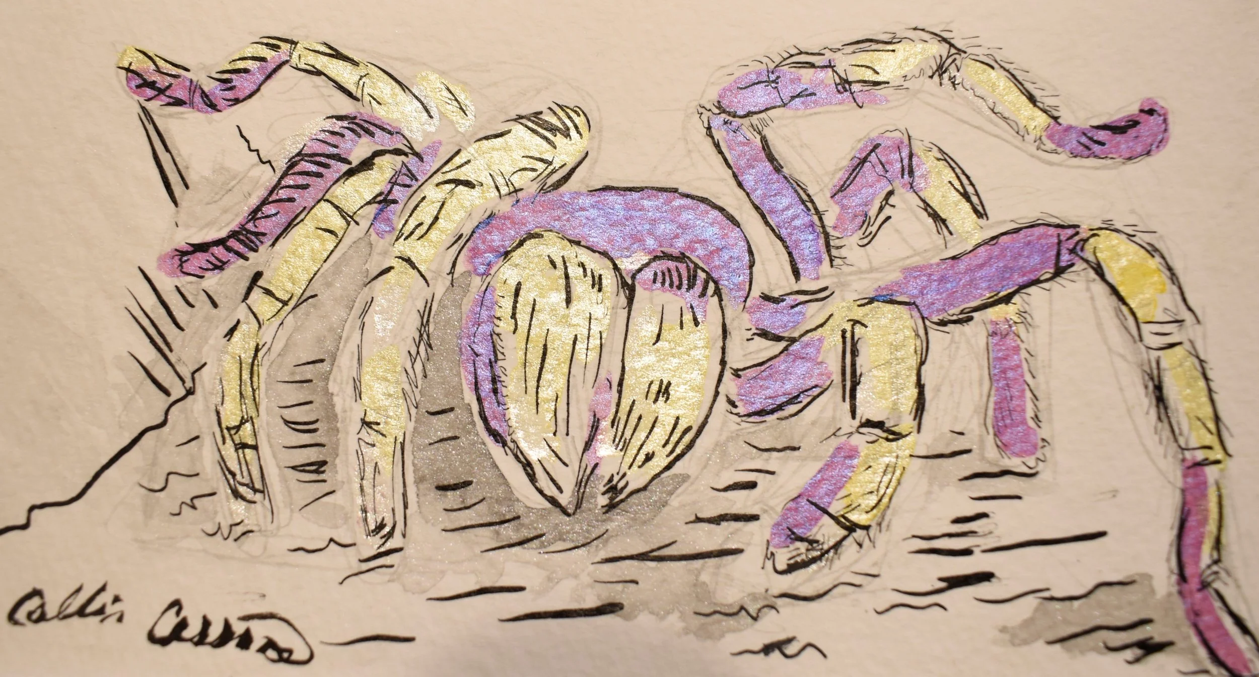 A sketch of a blooming flower with purple and yellow petals, outlined in black ink, on a beige background.