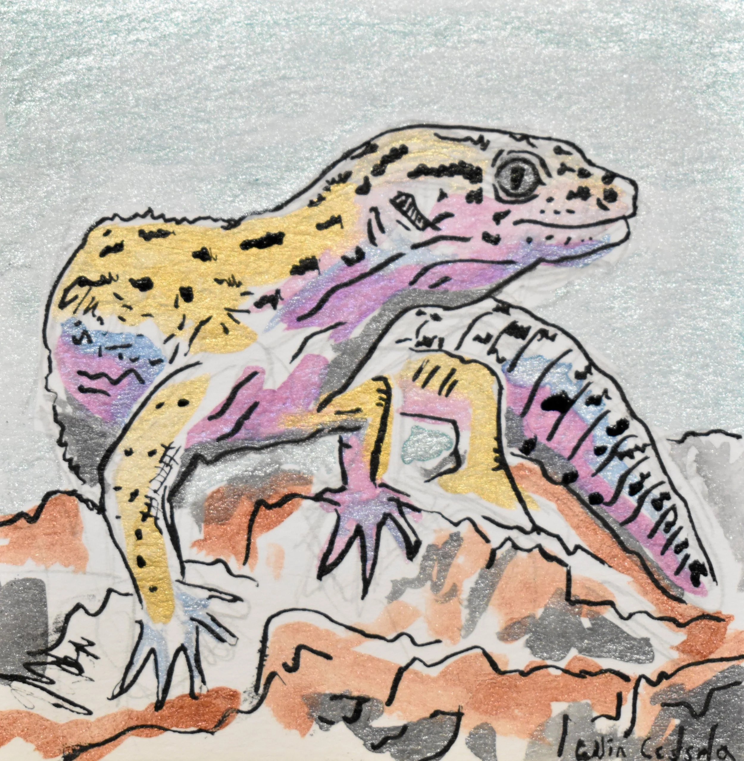 Colorful sketch of a lizard on rocks, with yellow, pink, purple, blue, and black markings.