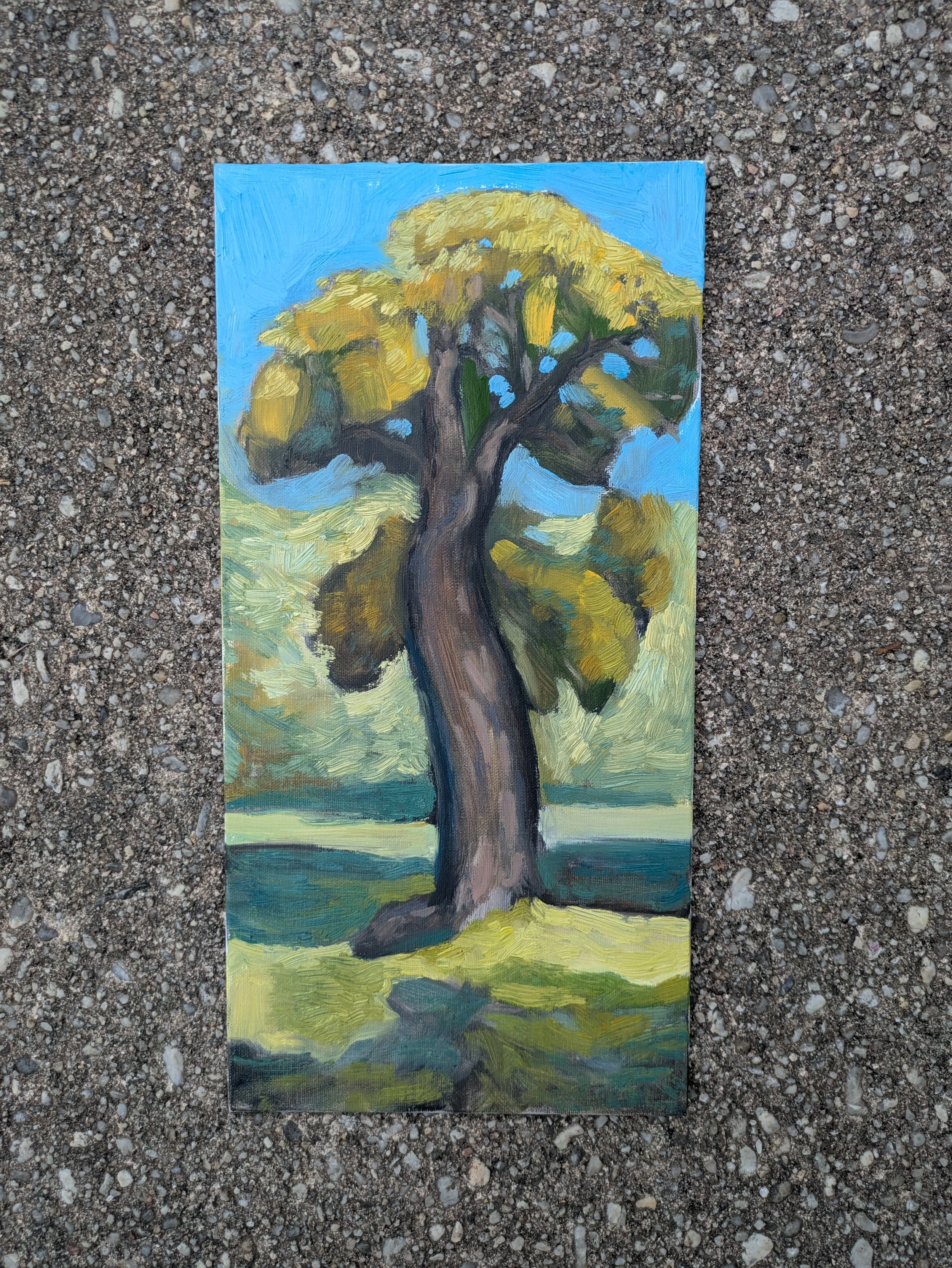 Catulpa Tree oil painting on linen panel by Collin Cessna created Hampton National Site nature art