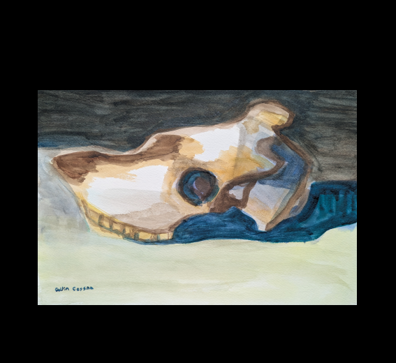 Goat skull watercolor painting still life collin cessna original painting paint maryland wildlife