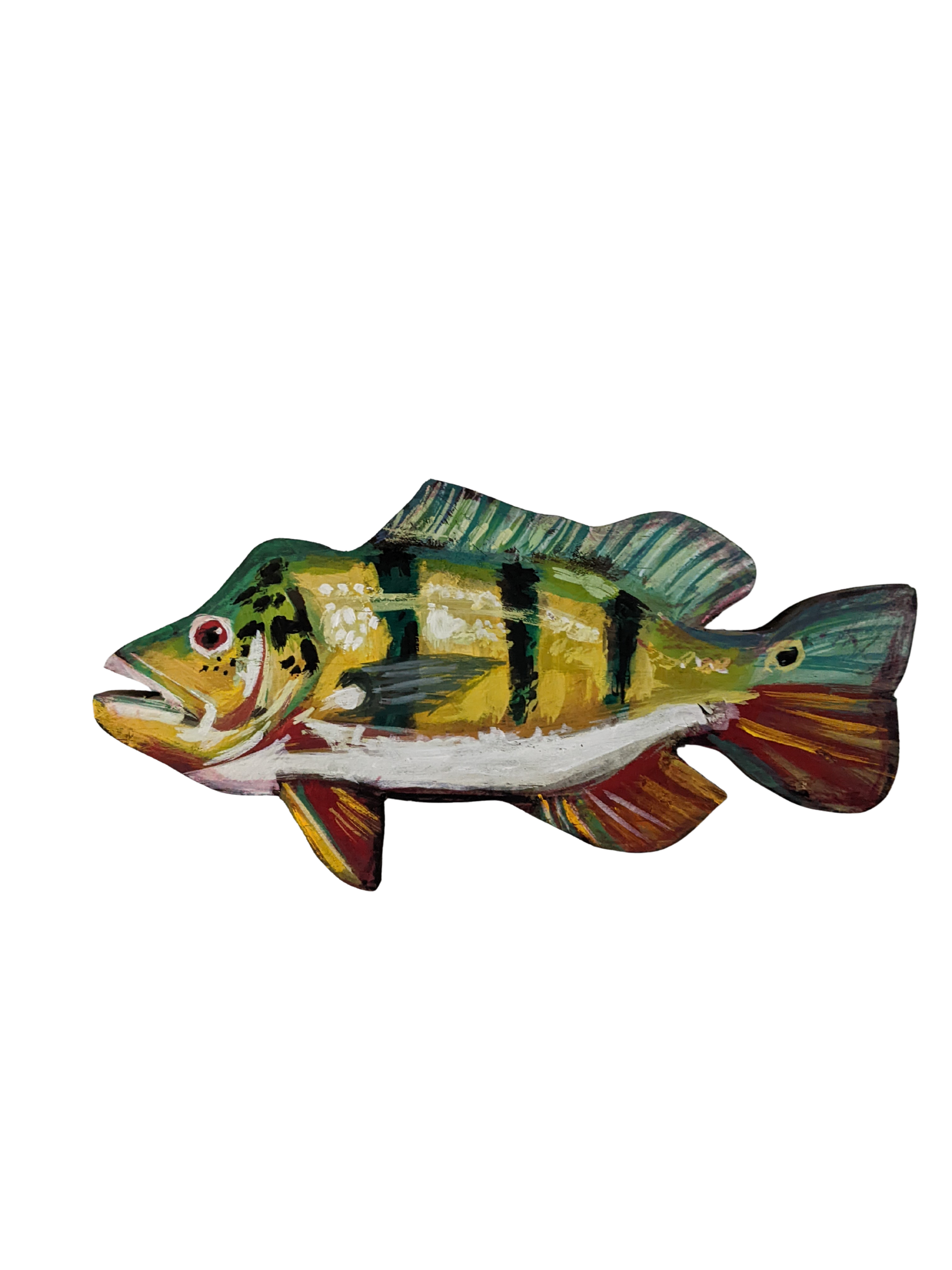 Peacock Bass