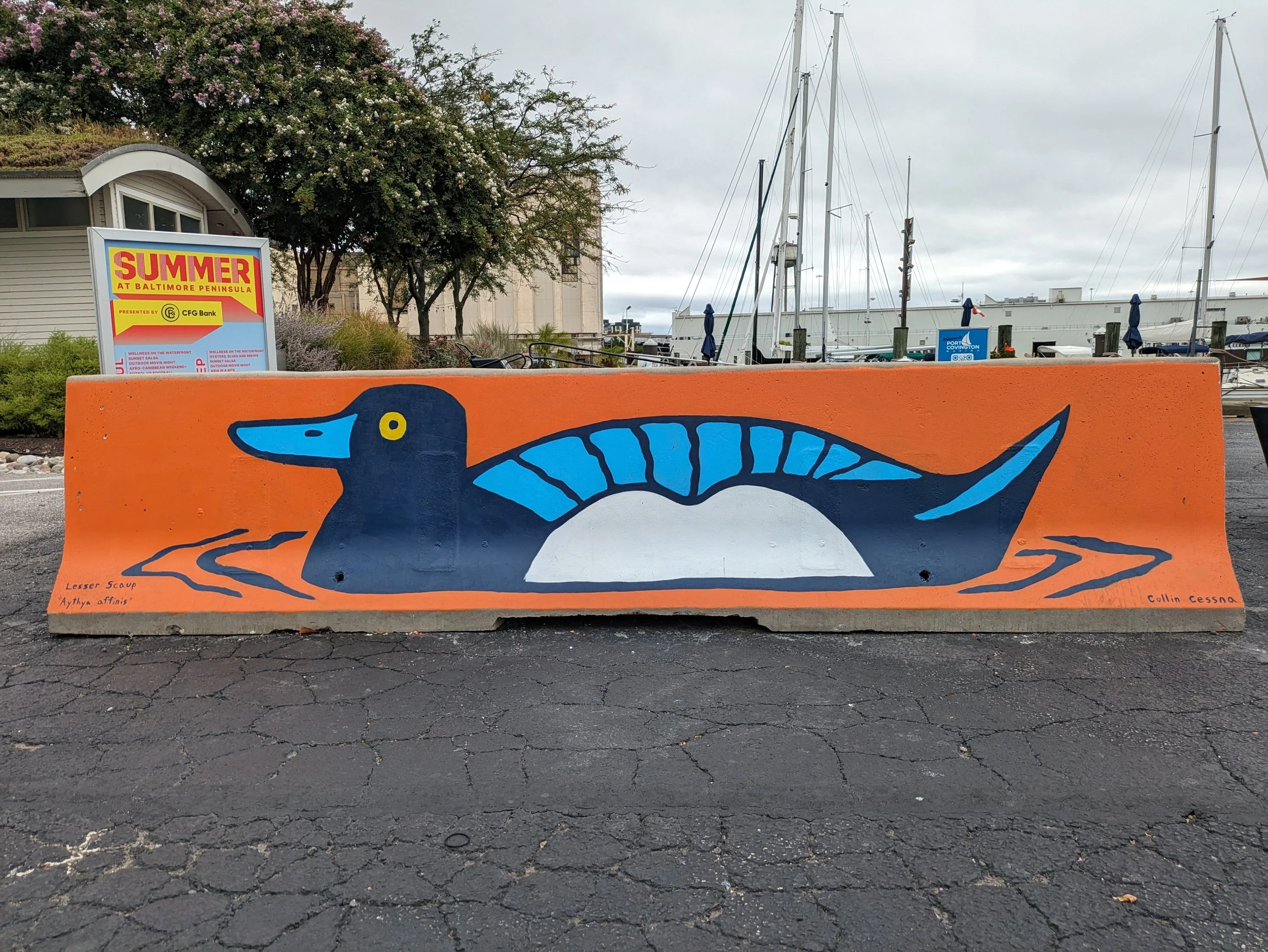 "Lesser Scaup Mural" at Port Covington Marina