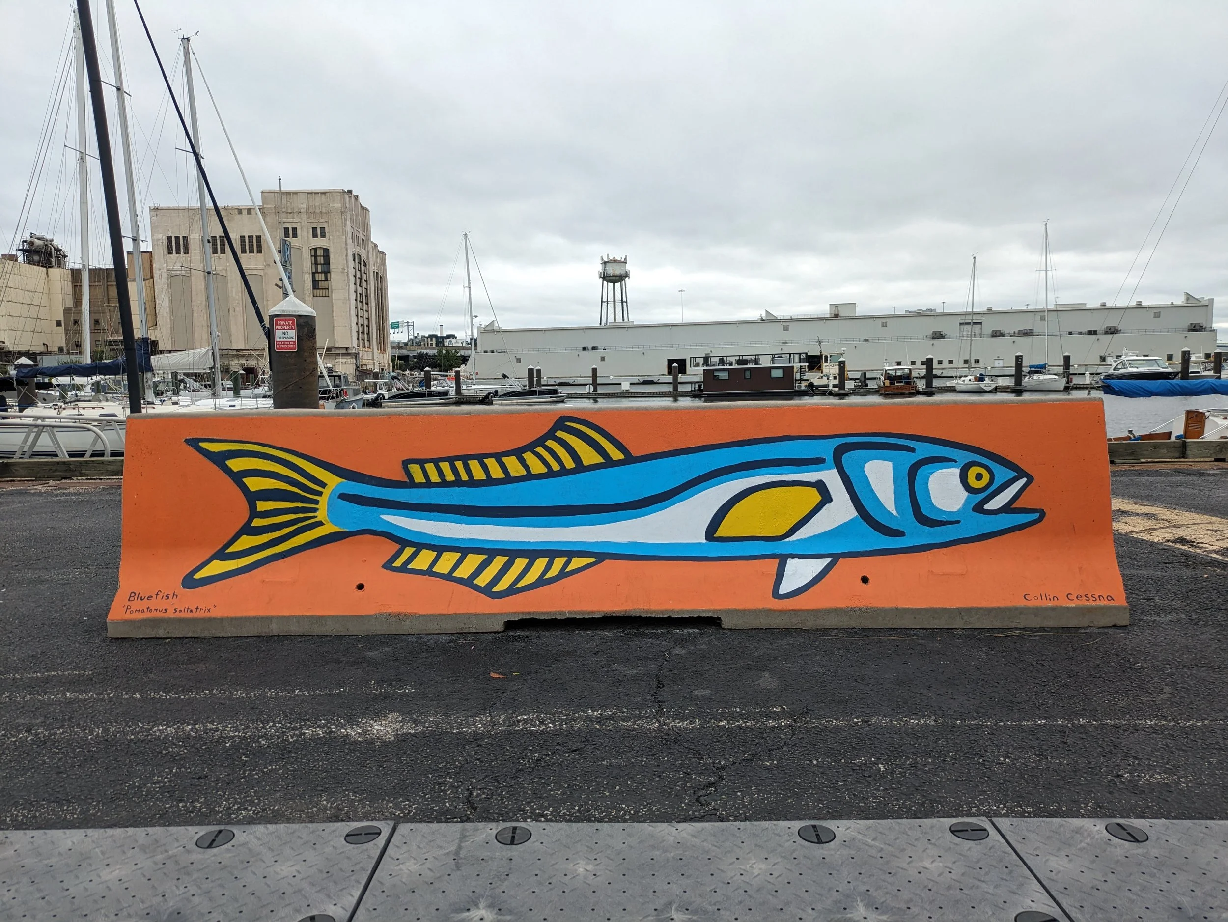 "Bluefish Mural" at Port Covington Marina, 2025