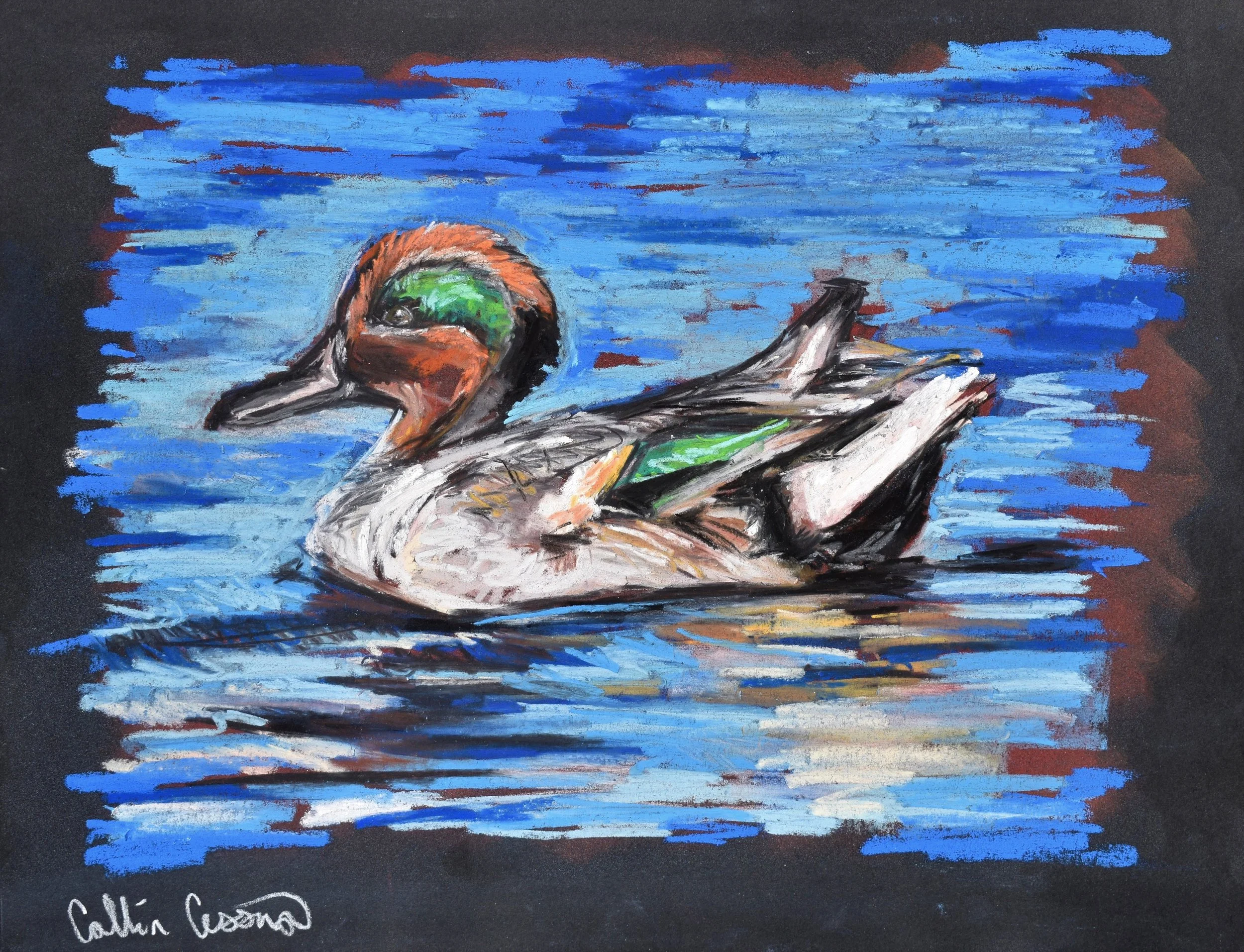 Green Winged Teal.JPG