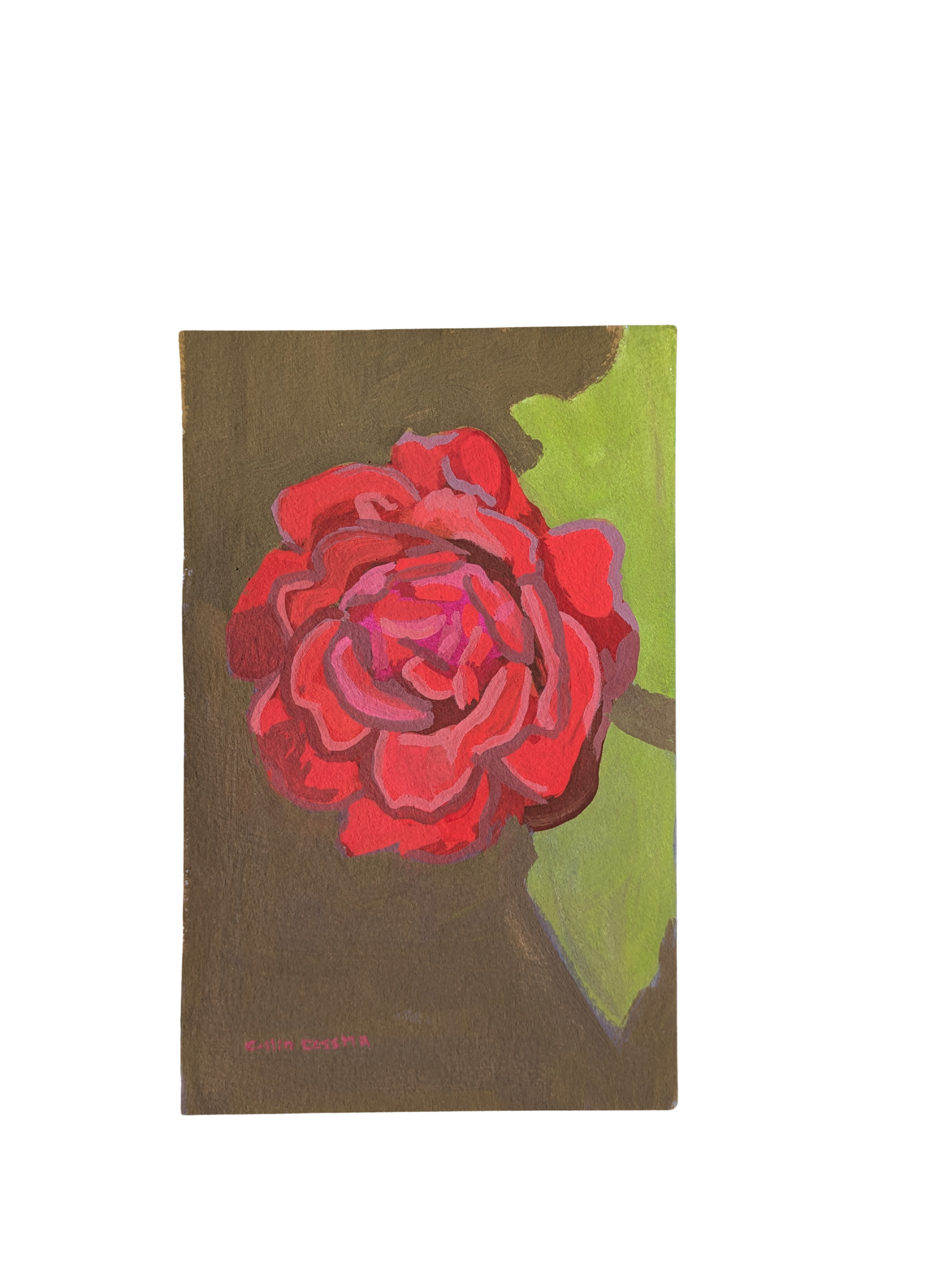 red roses rose blooming flower original painting by Collin Cessna spotted 2026 plant floral art md