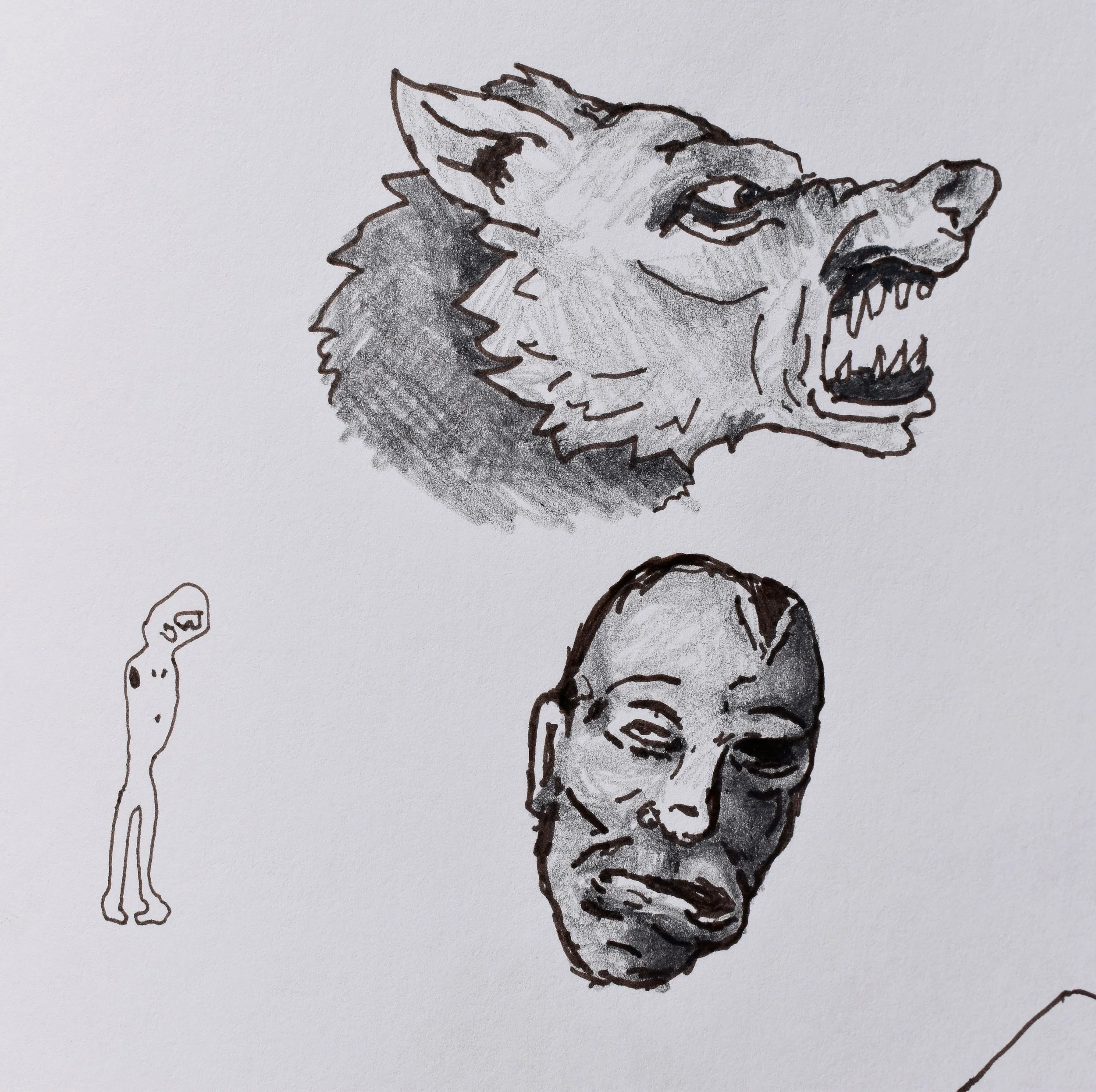 Sketch of a snarling wolf's head above a portrait of a woman's face and a small, simple drawing of a figure with an elongated face.