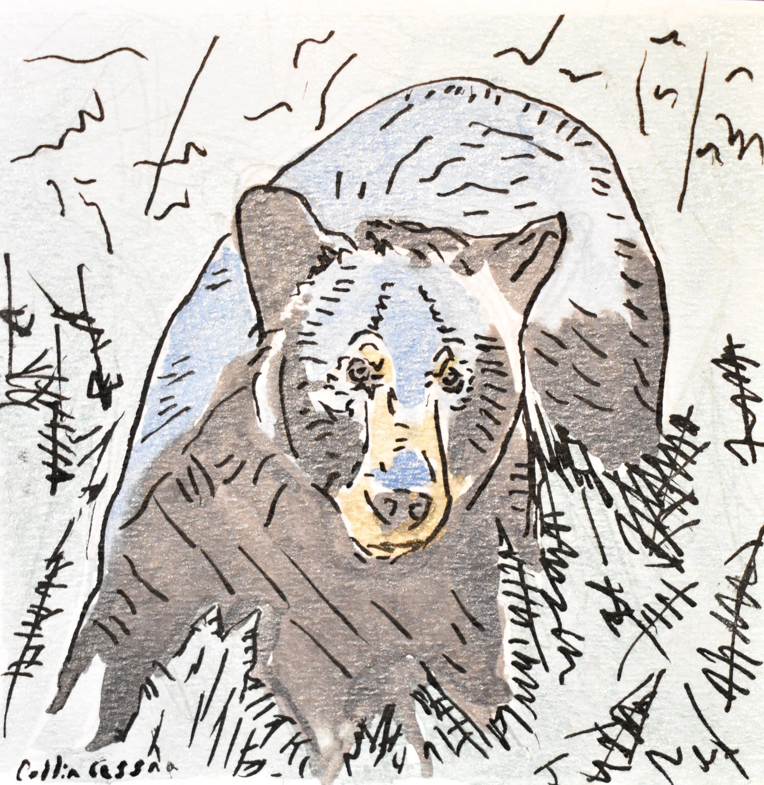 Artistic illustration of a bear's face, with sketches and lines surrounding it, in a mixed media style.