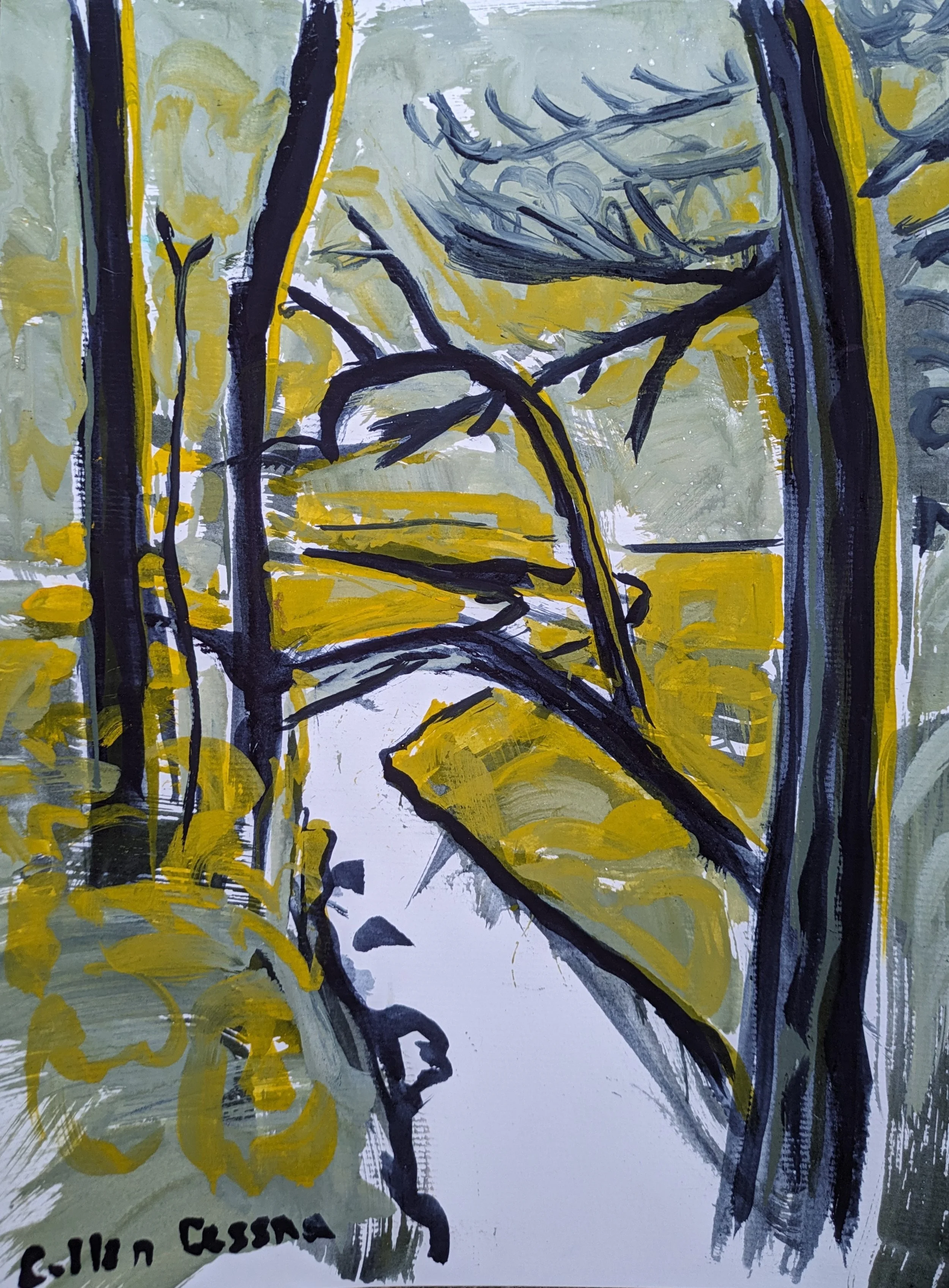 Forest in the Great Smoky Mountains.jpg