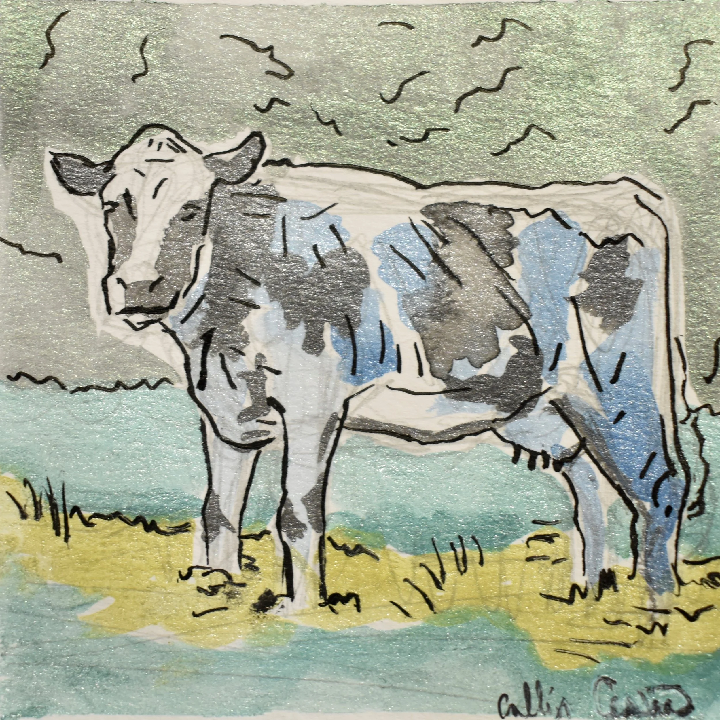 Watercolor illustration of a cow with black, white, and blue patches standing in a grassy field near water, with a cloudy sky overhead.