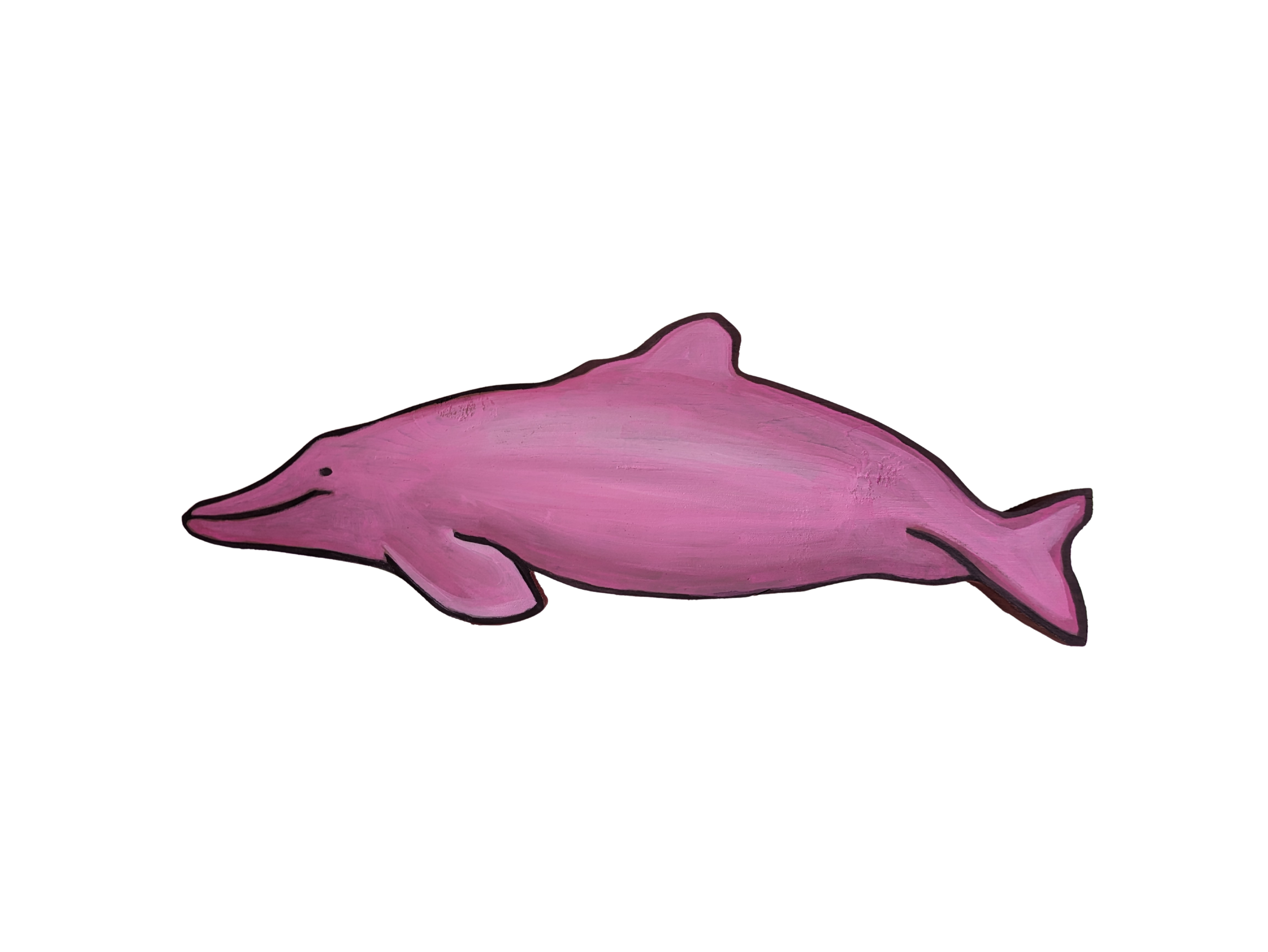 Taiwanese Pink Dolphin