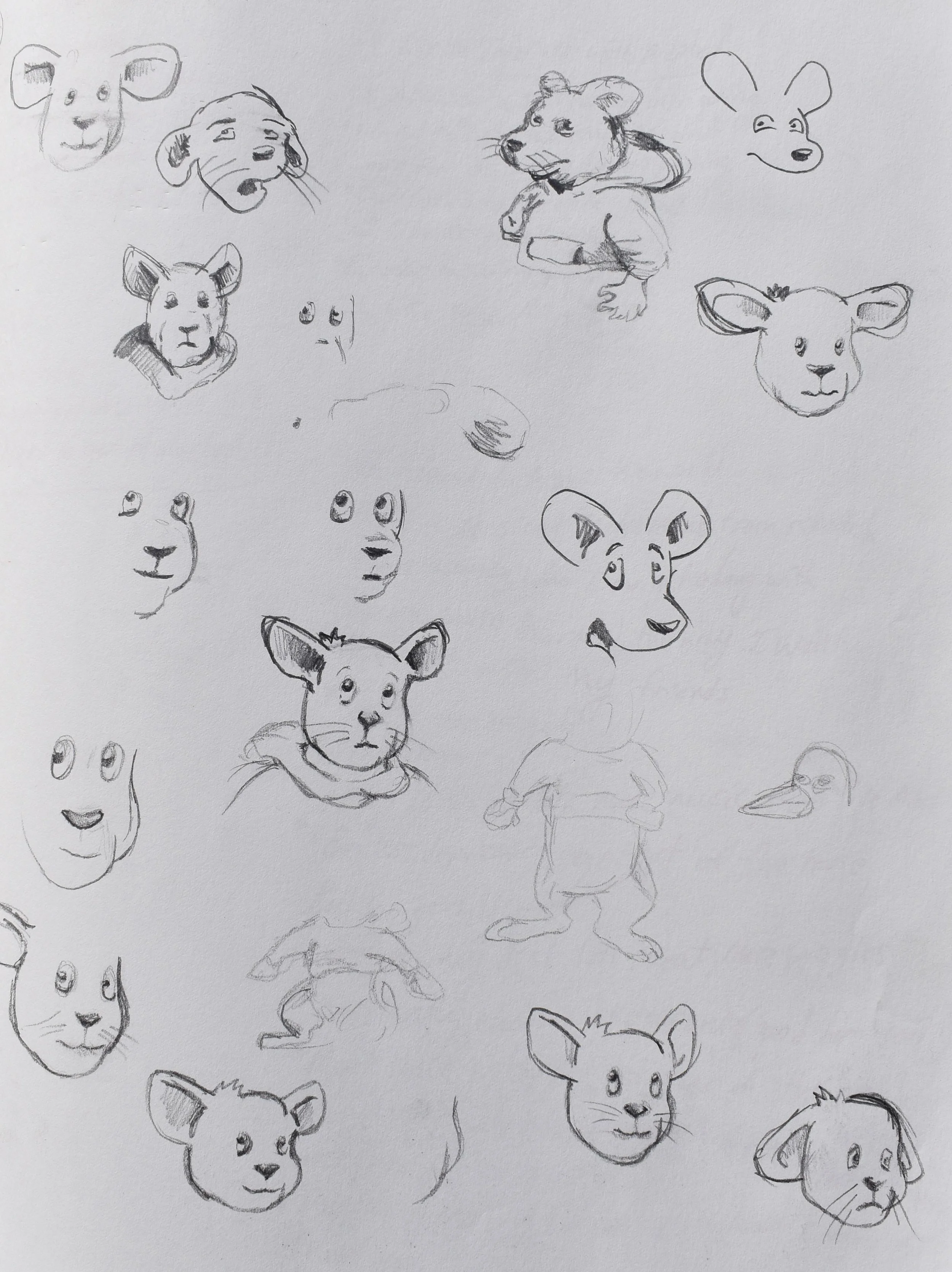 Various sketches of cartoon animal faces, including dogs, mice, and other small creatures, with some being more detailed and others in initial outline stages.