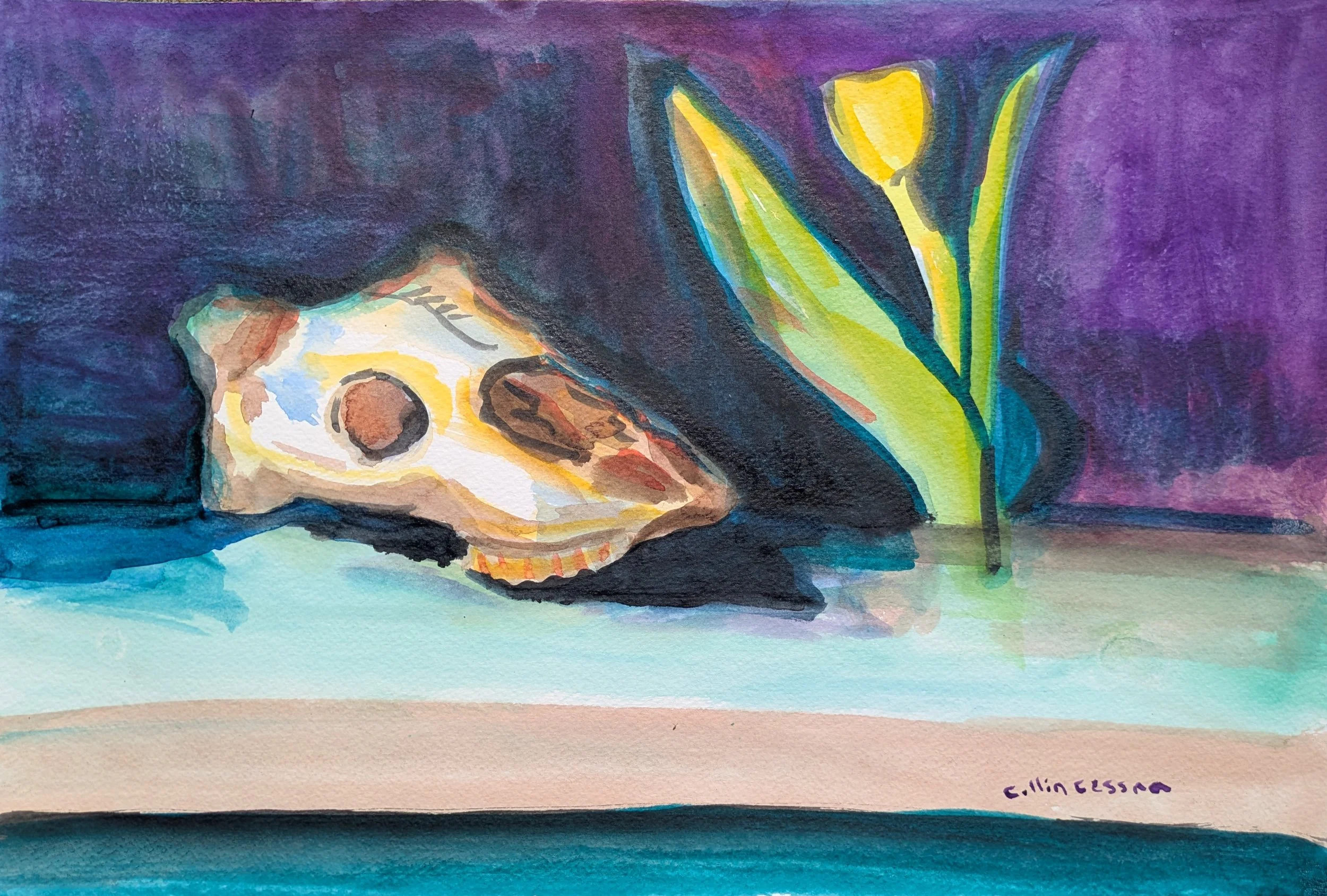 Goat skull and tulip watercolor painting still life collin cessna original painting paint maryland