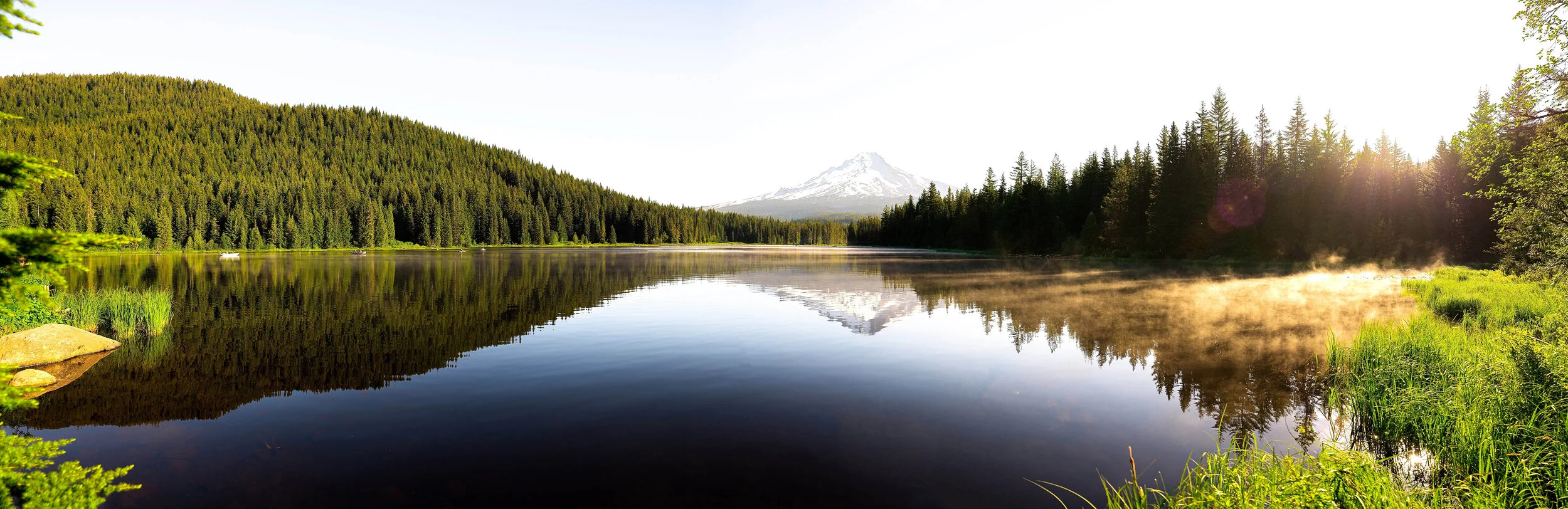 trillium.jpg