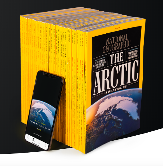 MARKETING DESIGN + CONTENT STRATEGY FOR WILLOWTREE