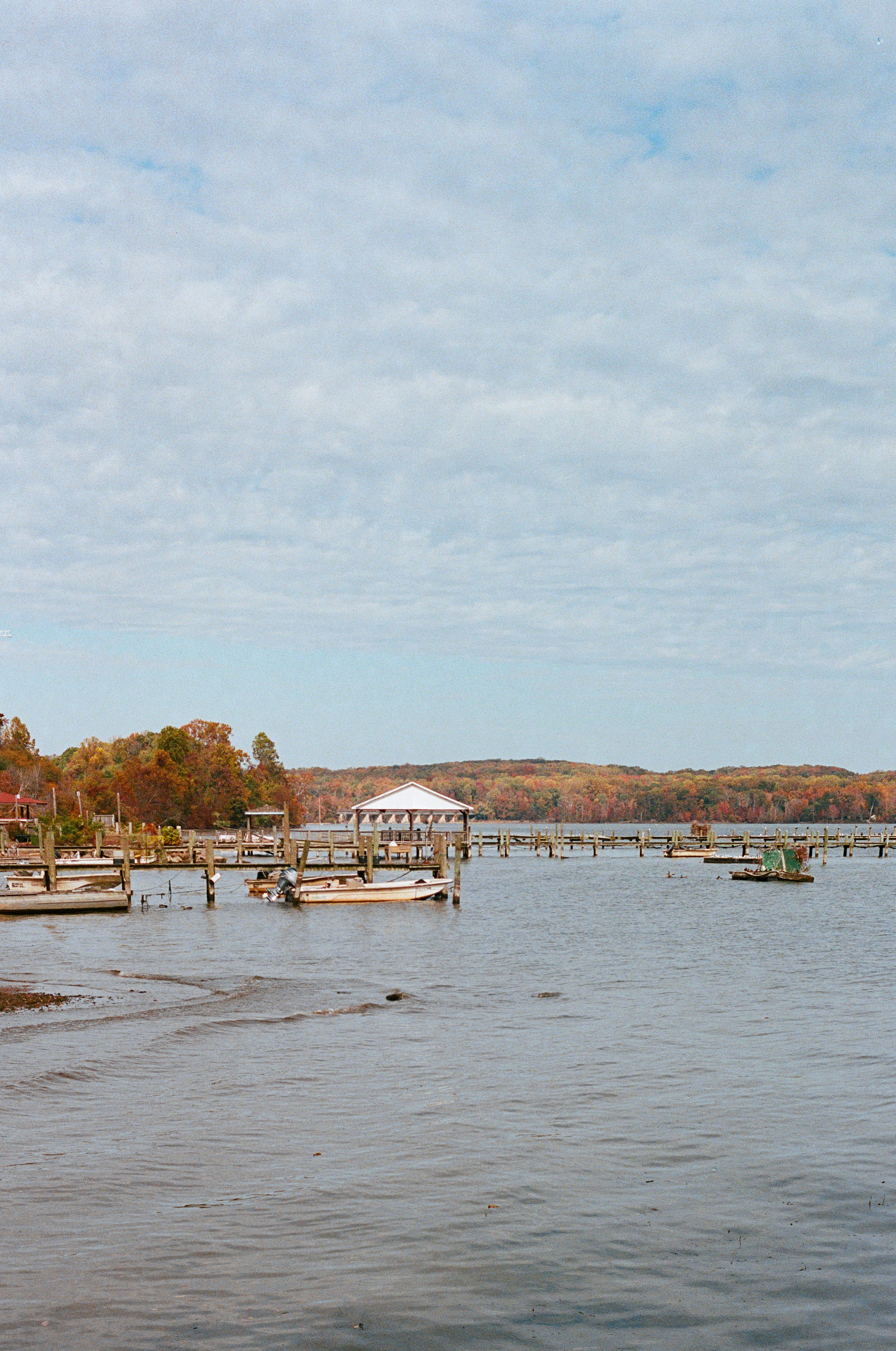 Peacock-1-Location-007.jpg