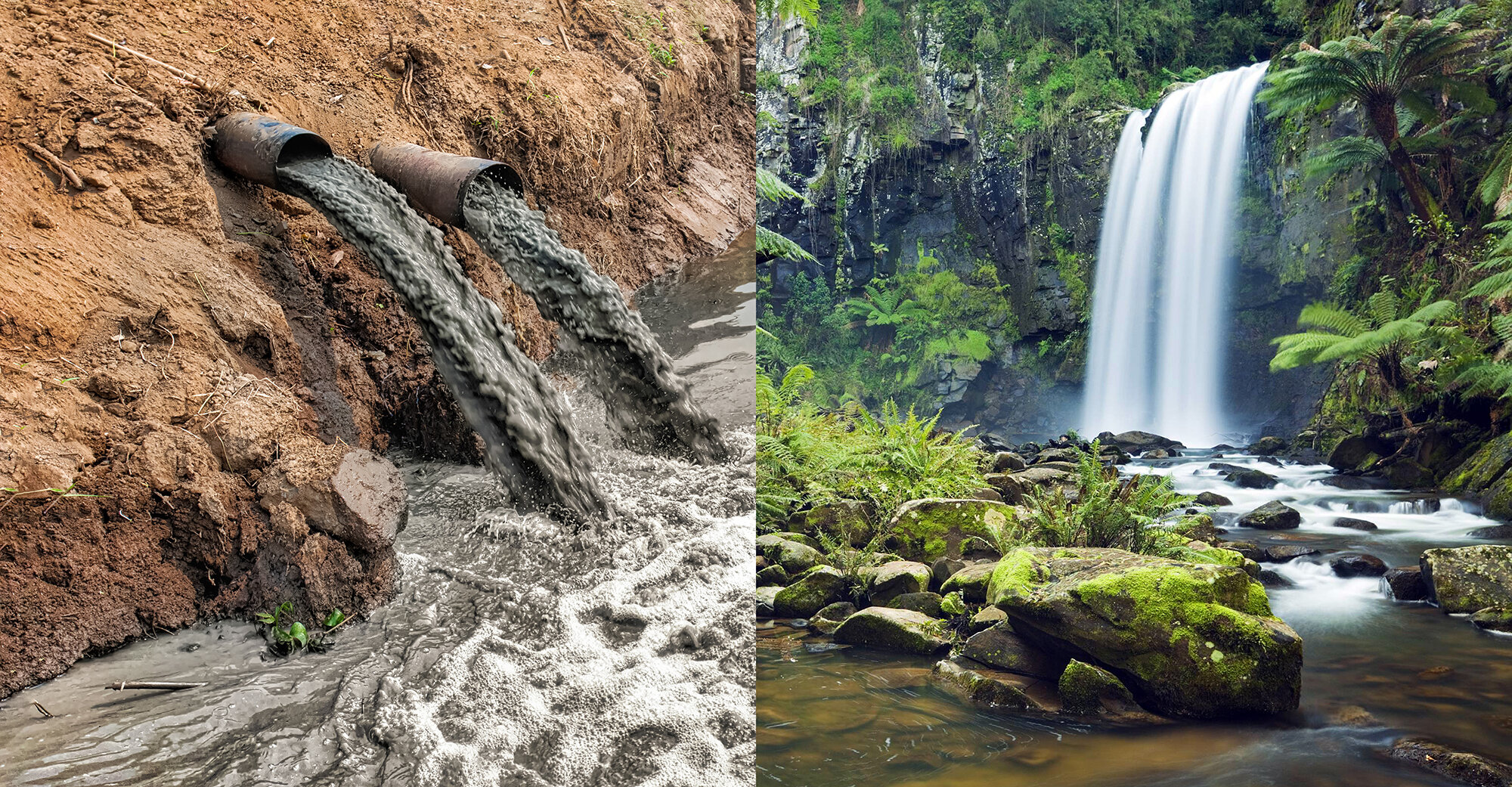   STOP ECOCÍDIO  Mudar a lei, proteger a terra 