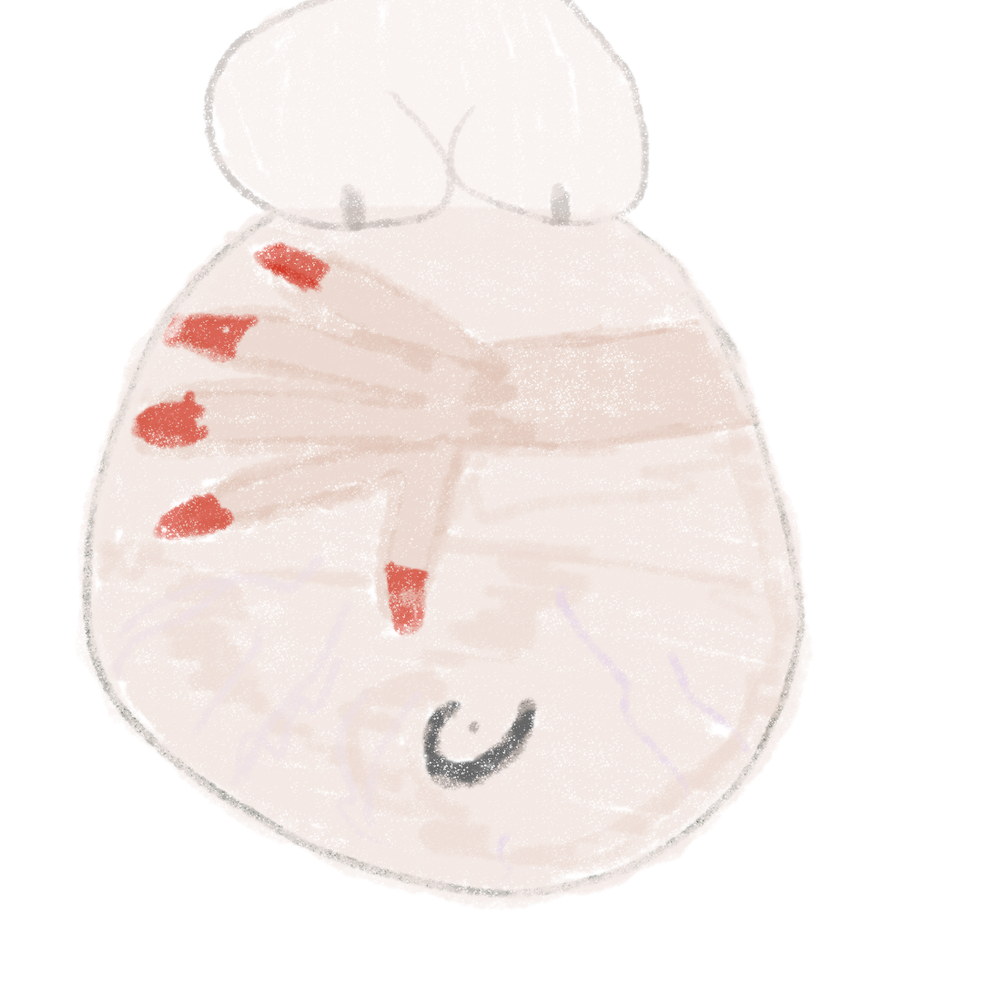 mummy tummy