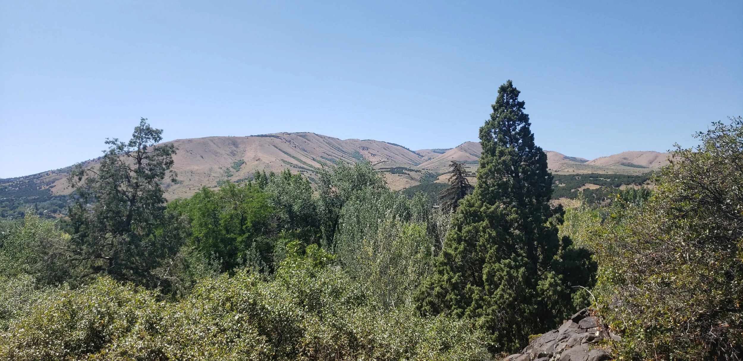 20190824_131143.jpg