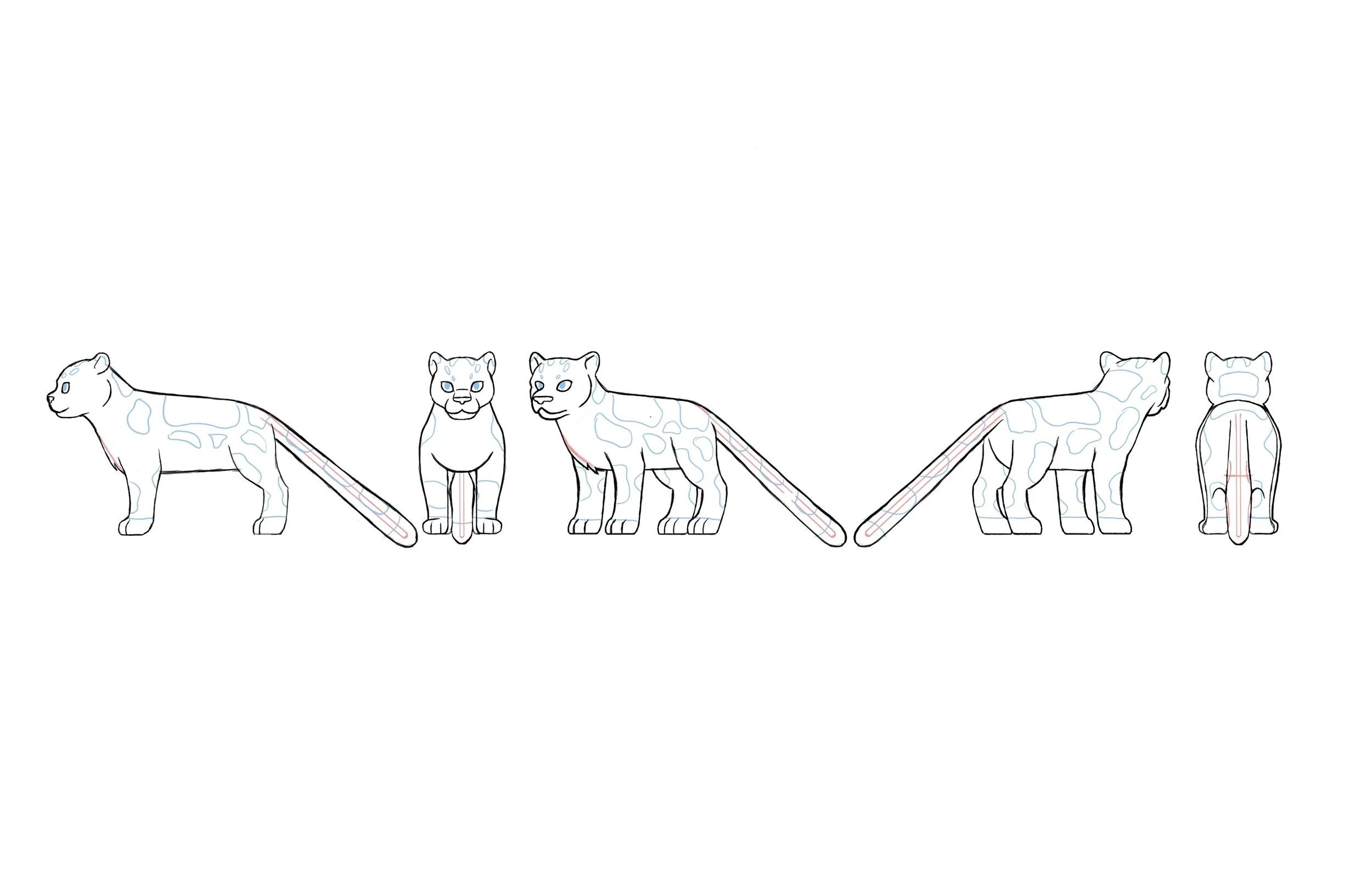 Snow Leopard Turnaround