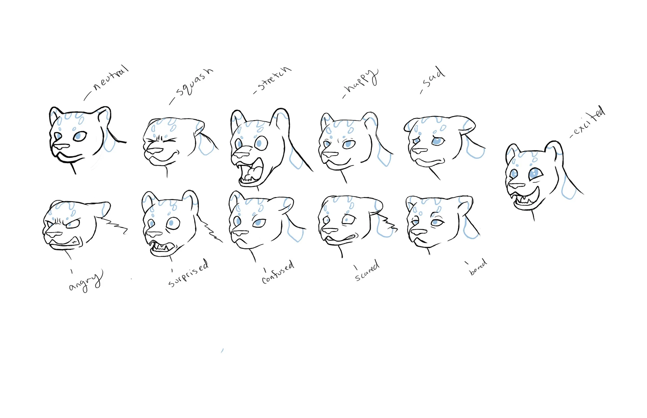 Snow Leopard Expressions
