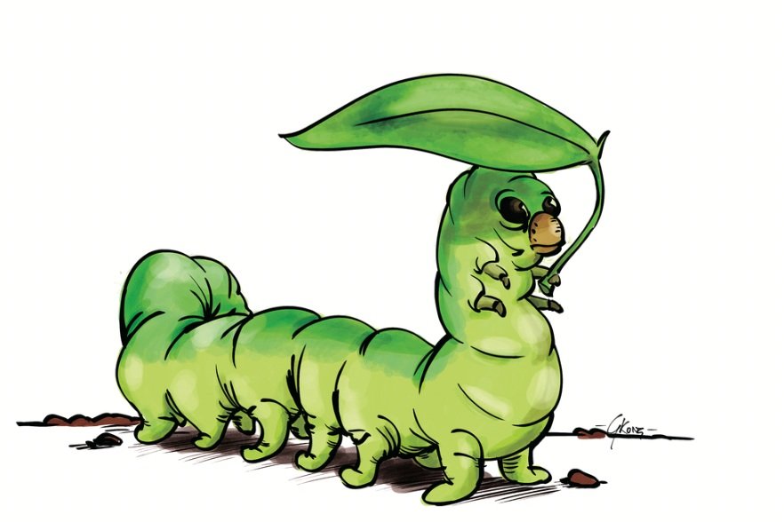 Illustrations