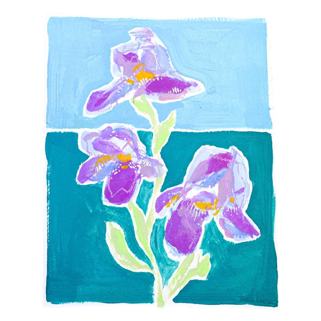 Purple Iris