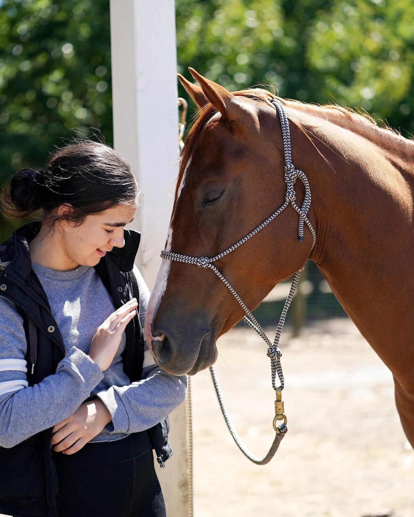 Getting up close and personal with a horse is a magical feeling.  @_horsesforcauses 🤎