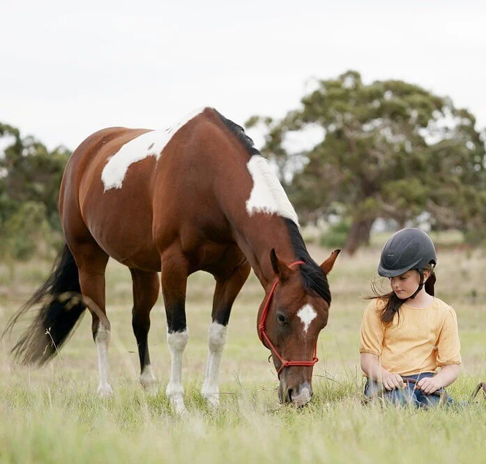 🤎🤍 @_horsesforcauses