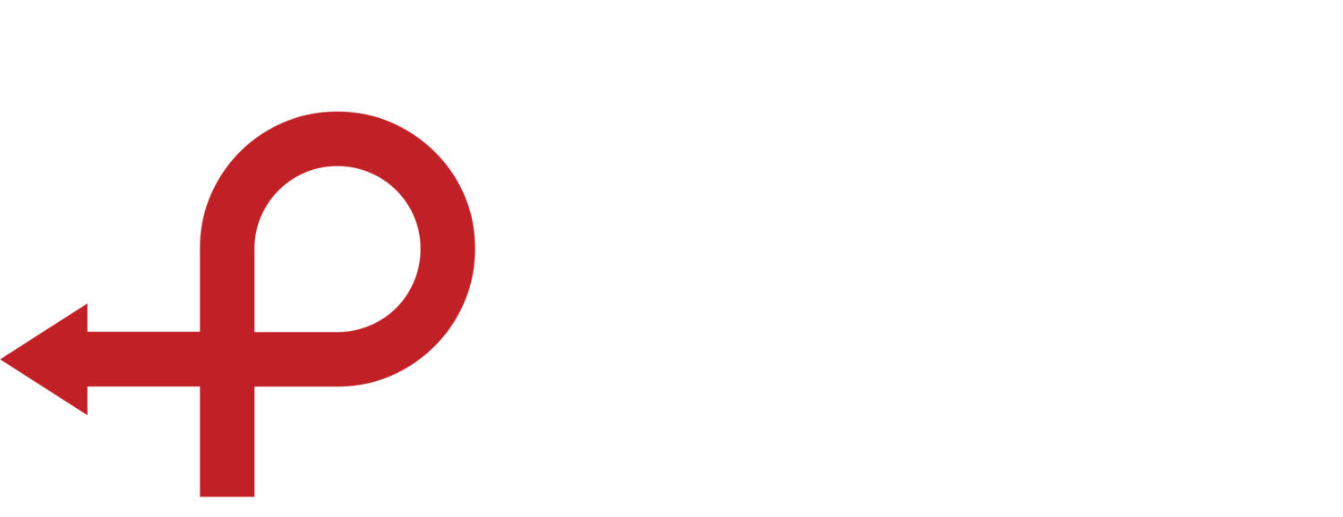 Pivot SaaS Solutions